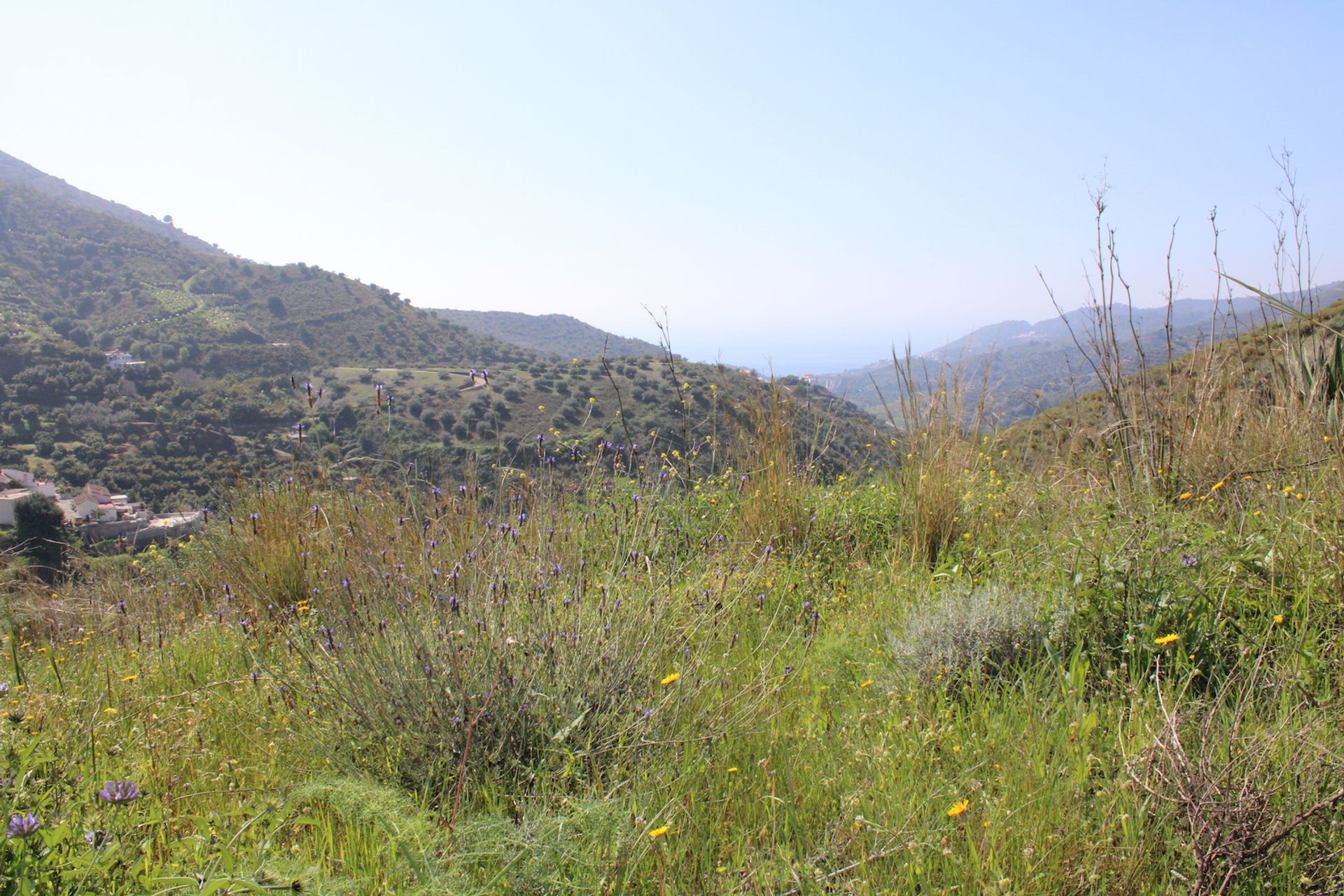 Terre dans Almuñécar, Andalucía 11303418