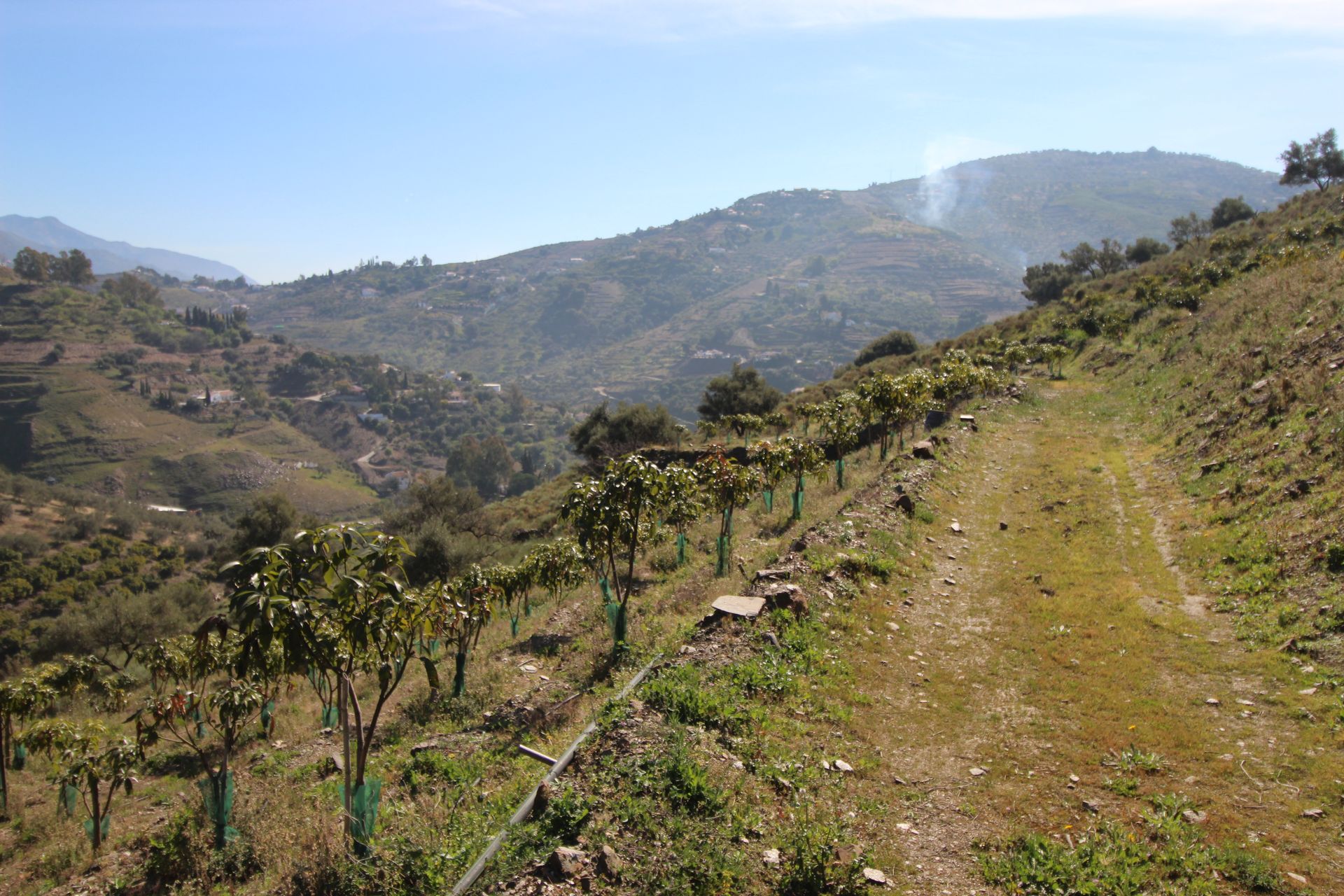 房子 在 Cómpeta, Andalucía 11303484