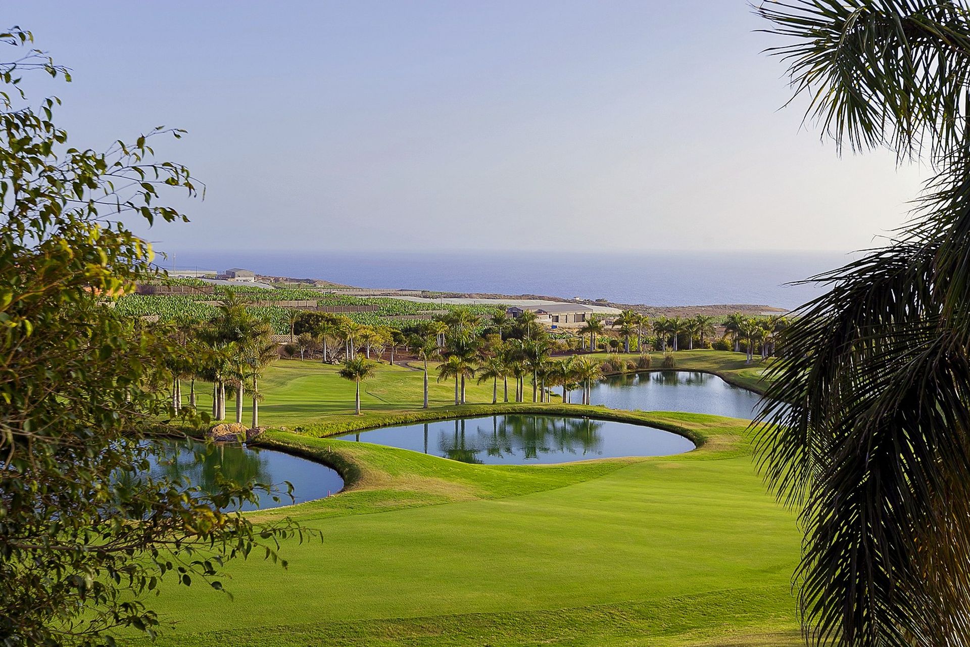 Tanah di Guia de Isora, Canary Islands 11303598