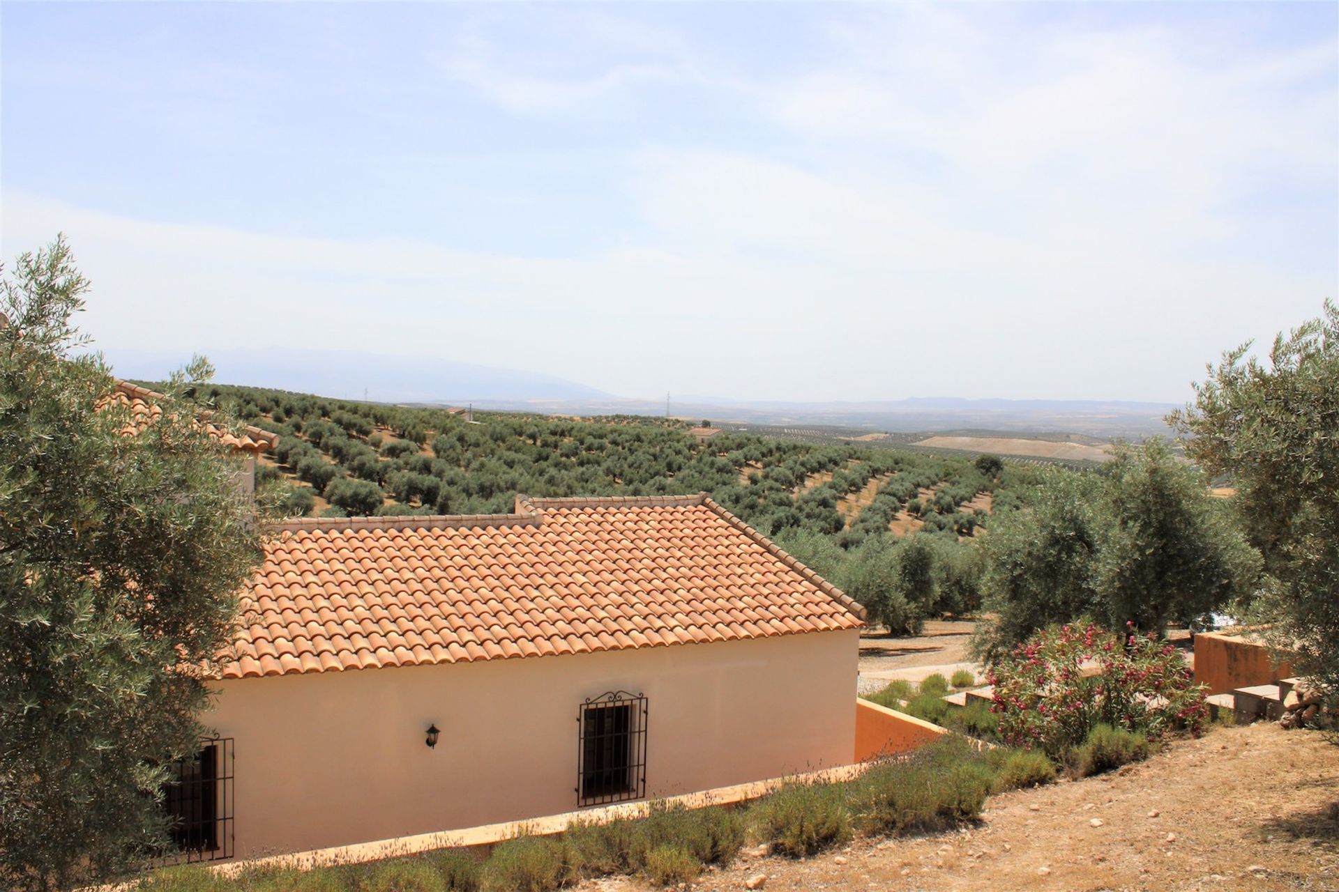 casa en Íllora, Andalucía 11304194