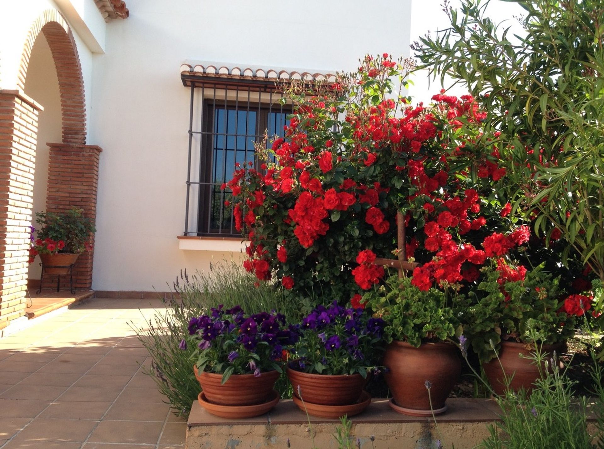 casa en Íllora, Andalucía 11304194