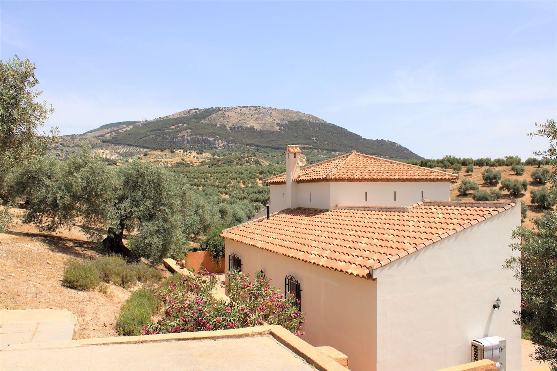 casa en Íllora, Andalucía 11304194