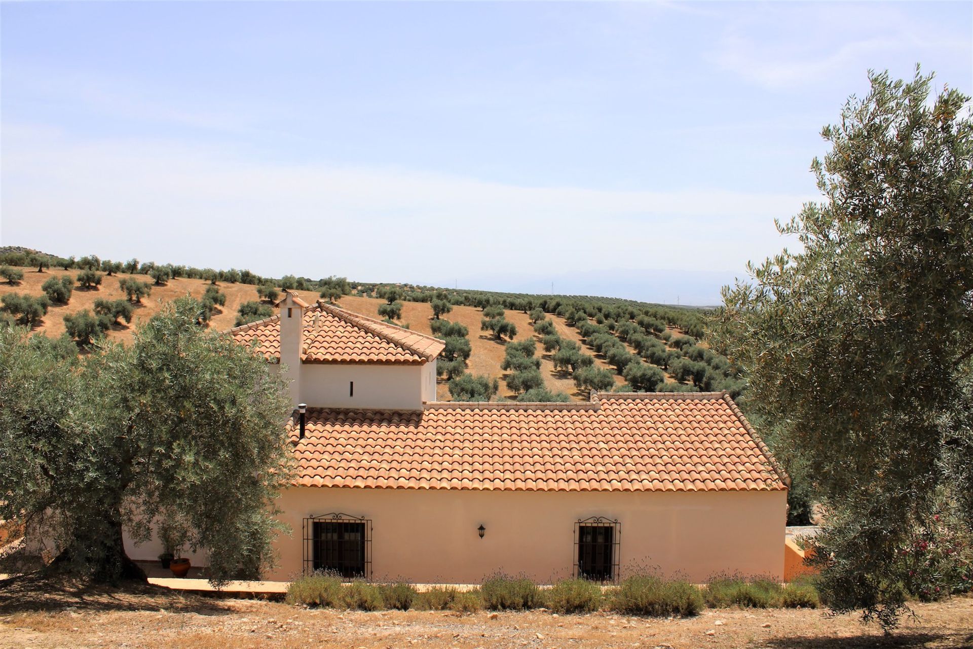 casa en Íllora, Andalucía 11304194