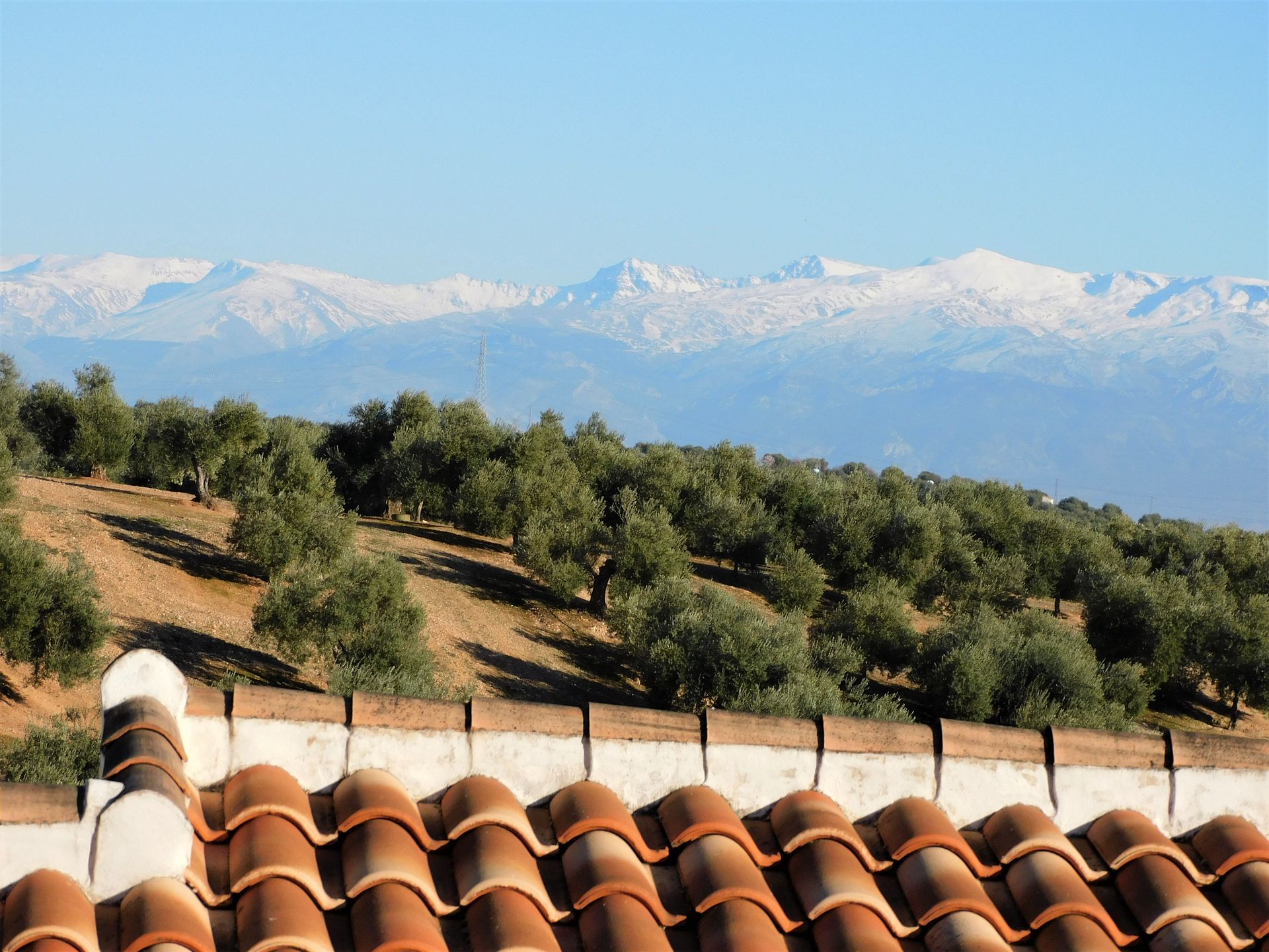 casa en Íllora, Andalucía 11304194