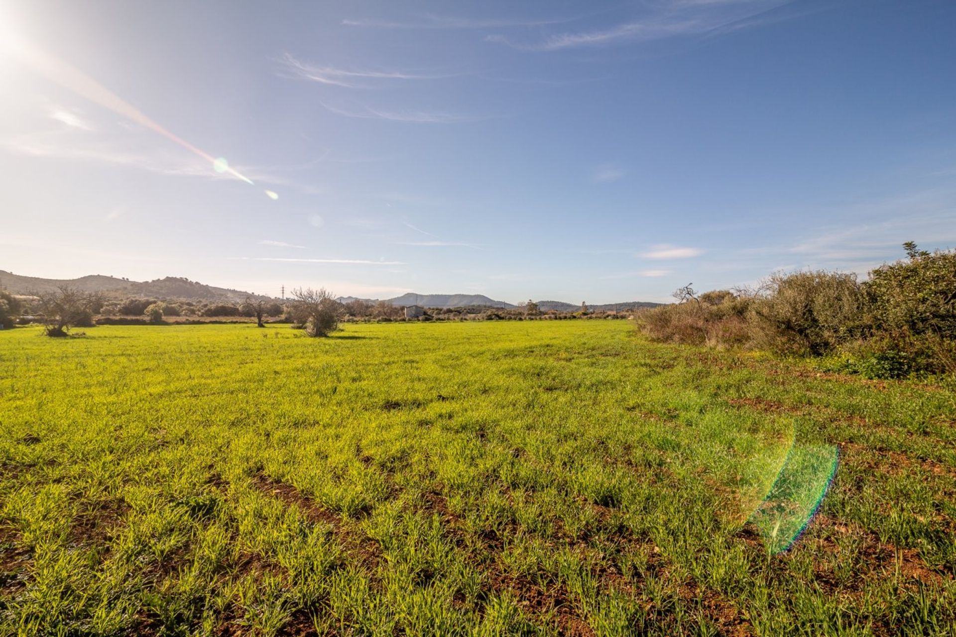 Terra no Capdepera, Ilhas Baleares 11305225