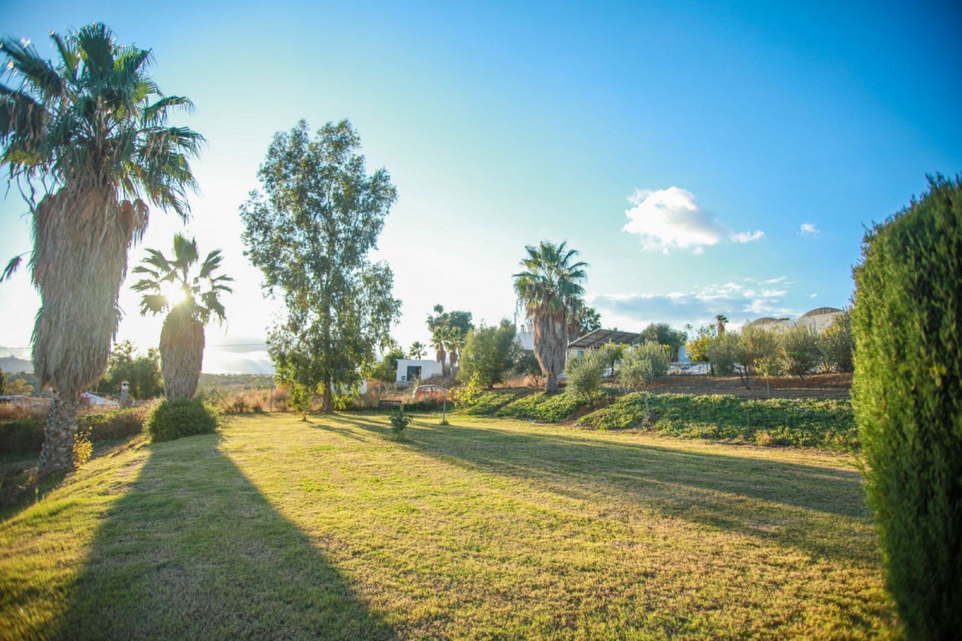 casa no Pizarra, Andaluzia 11305954