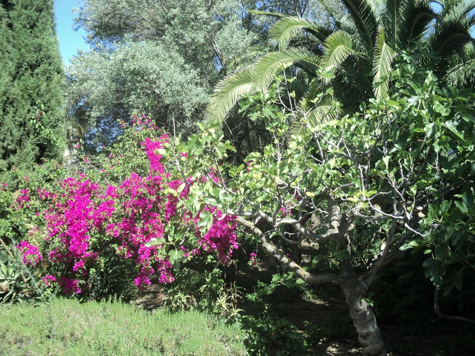 Rumah di Mijas, Andalucía 11306197