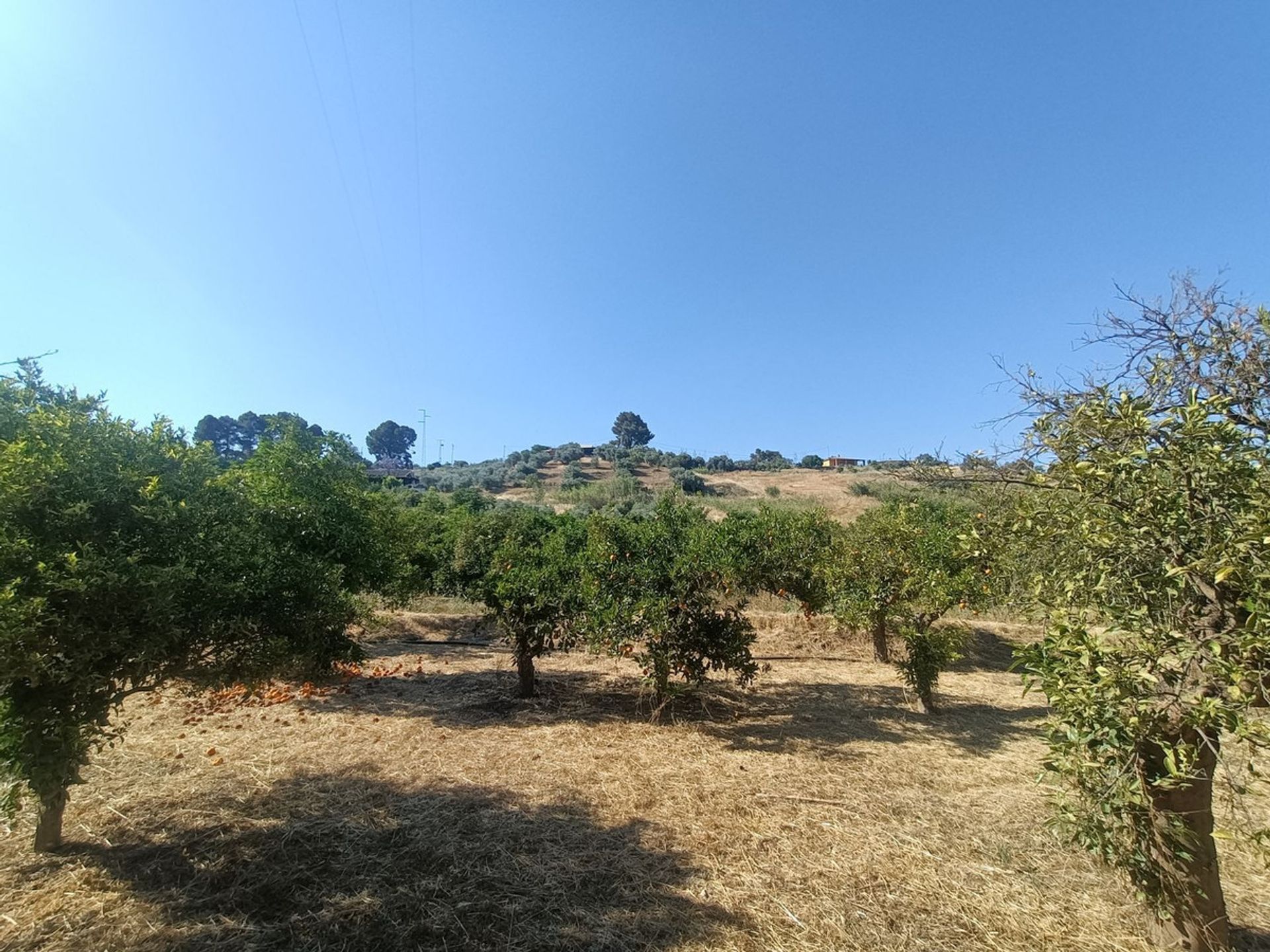 Land in Munt, Andalusië 11306225