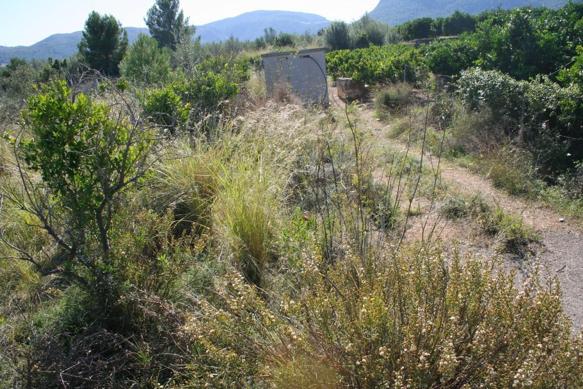 Γη σε , Comunidad Valenciana 11307196