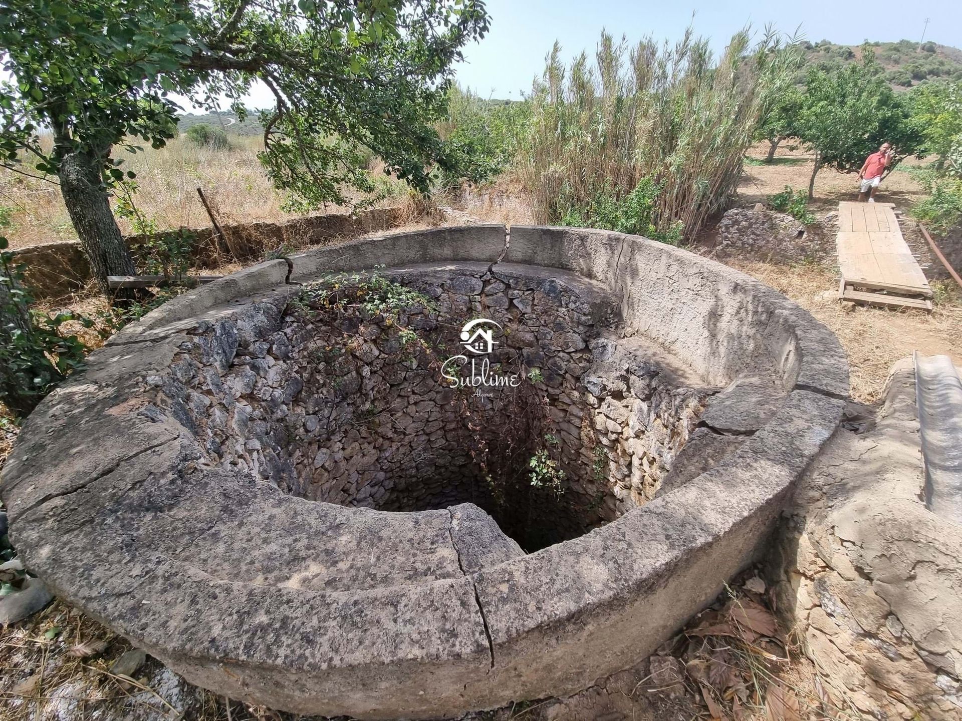 ארץ ב בראו דה סאו מיגל, פארו 11307522