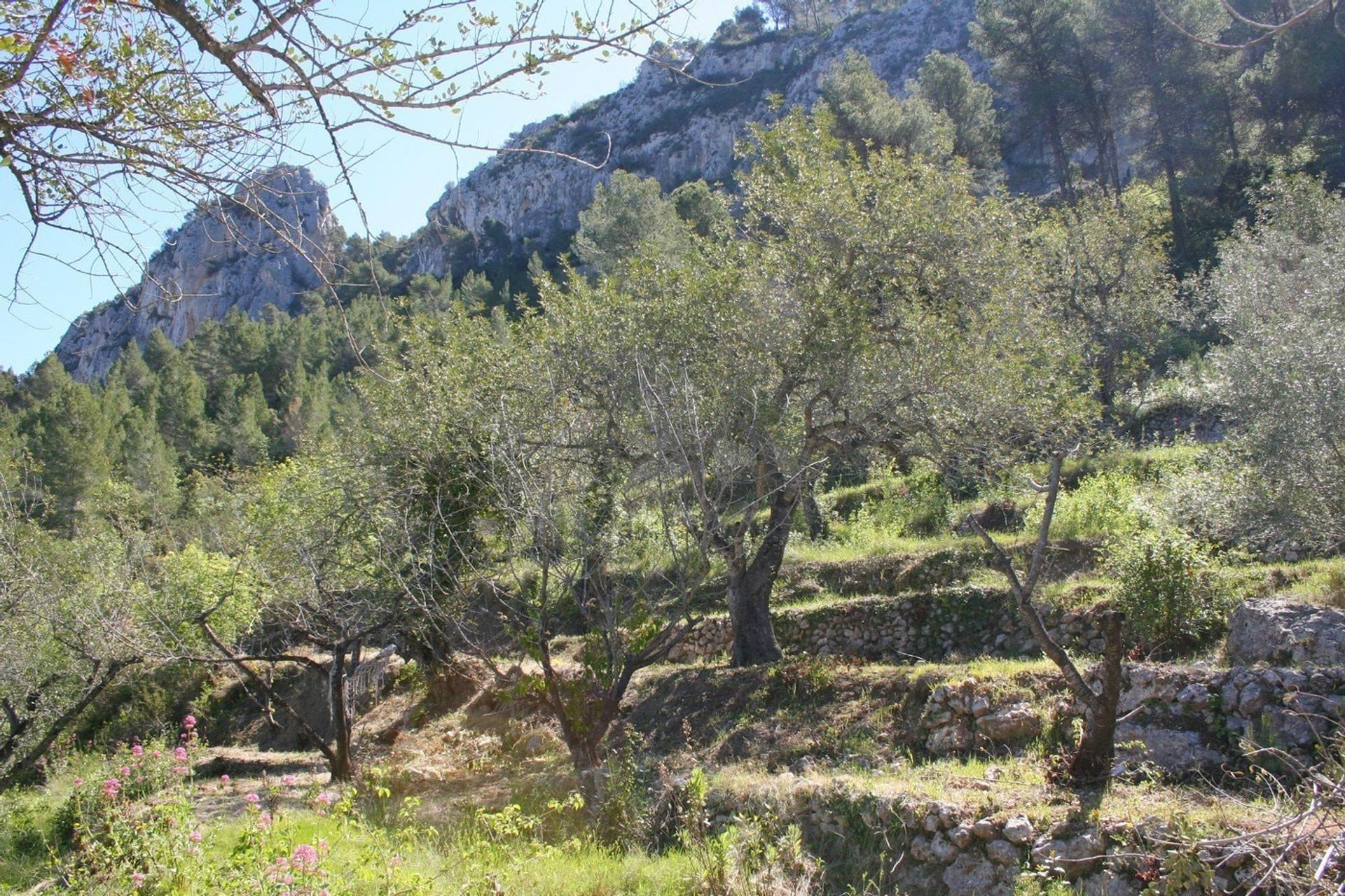 casa no Benirrama, Comunidad Valenciana 11307887