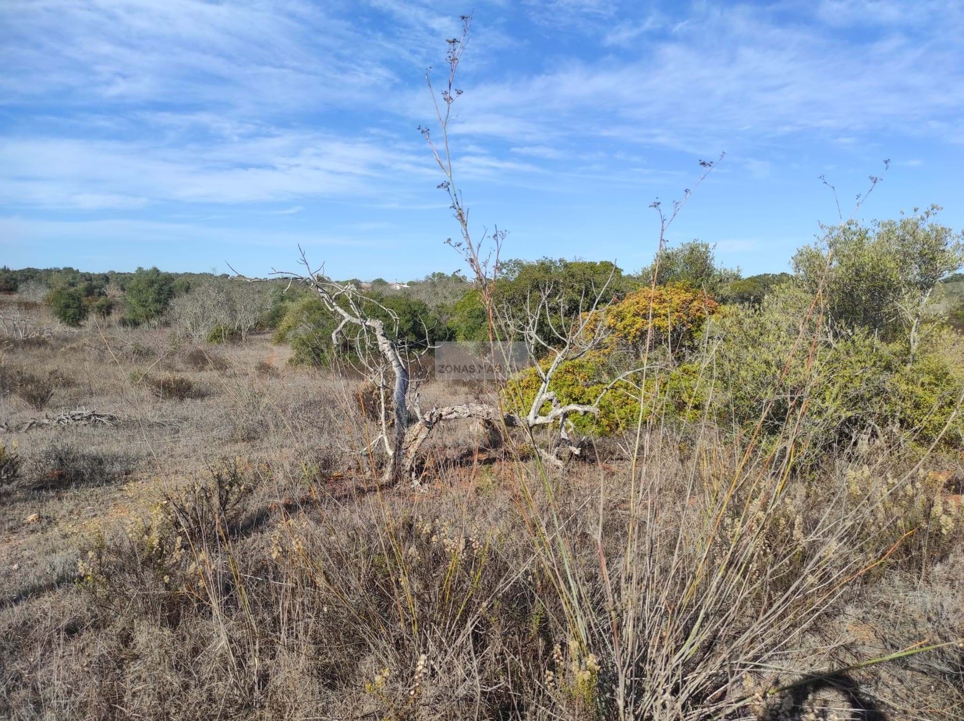 Tierra en Lagos, Faro District 11308130