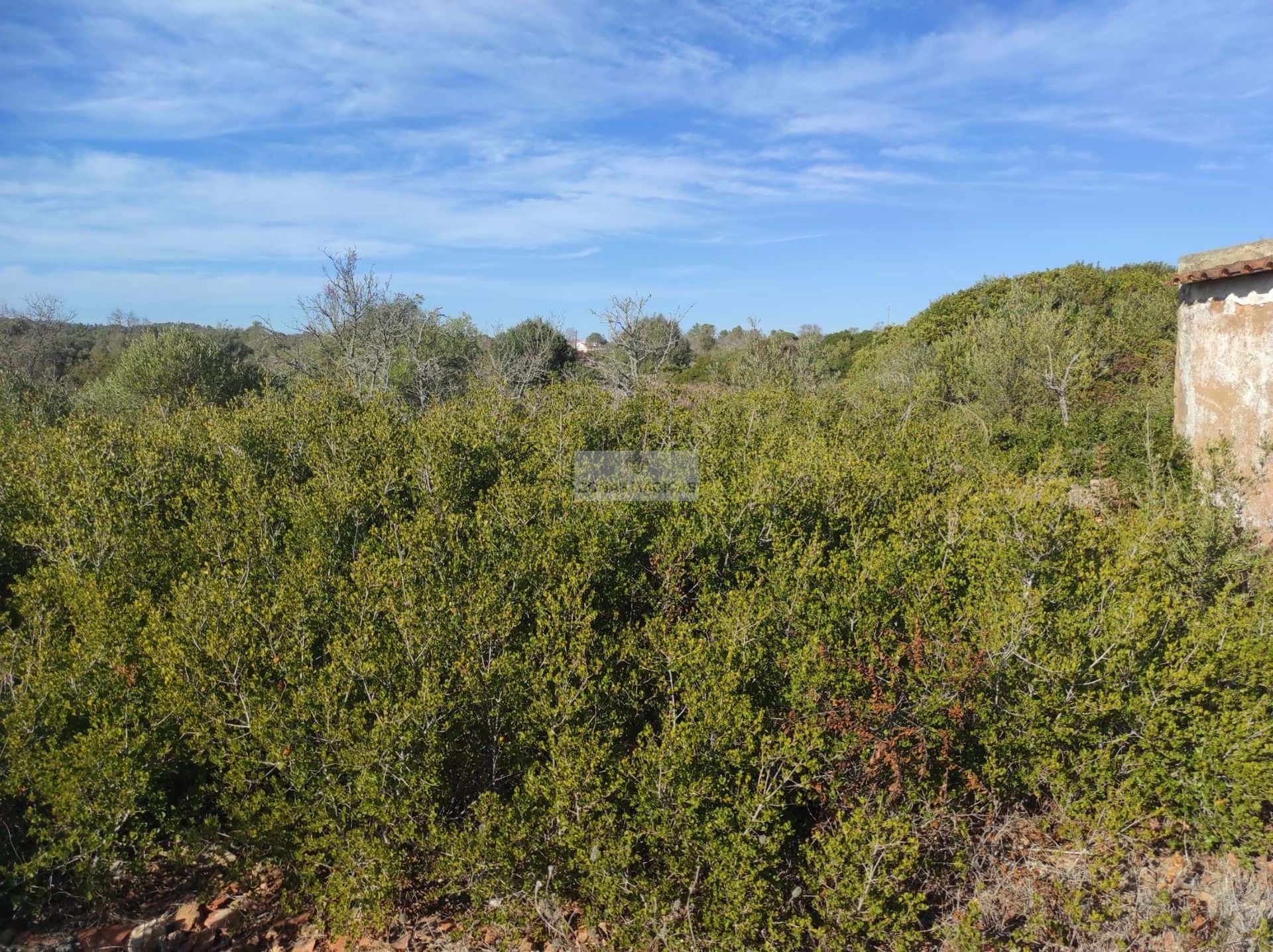 土地 在 Lagos, Faro District 11308130