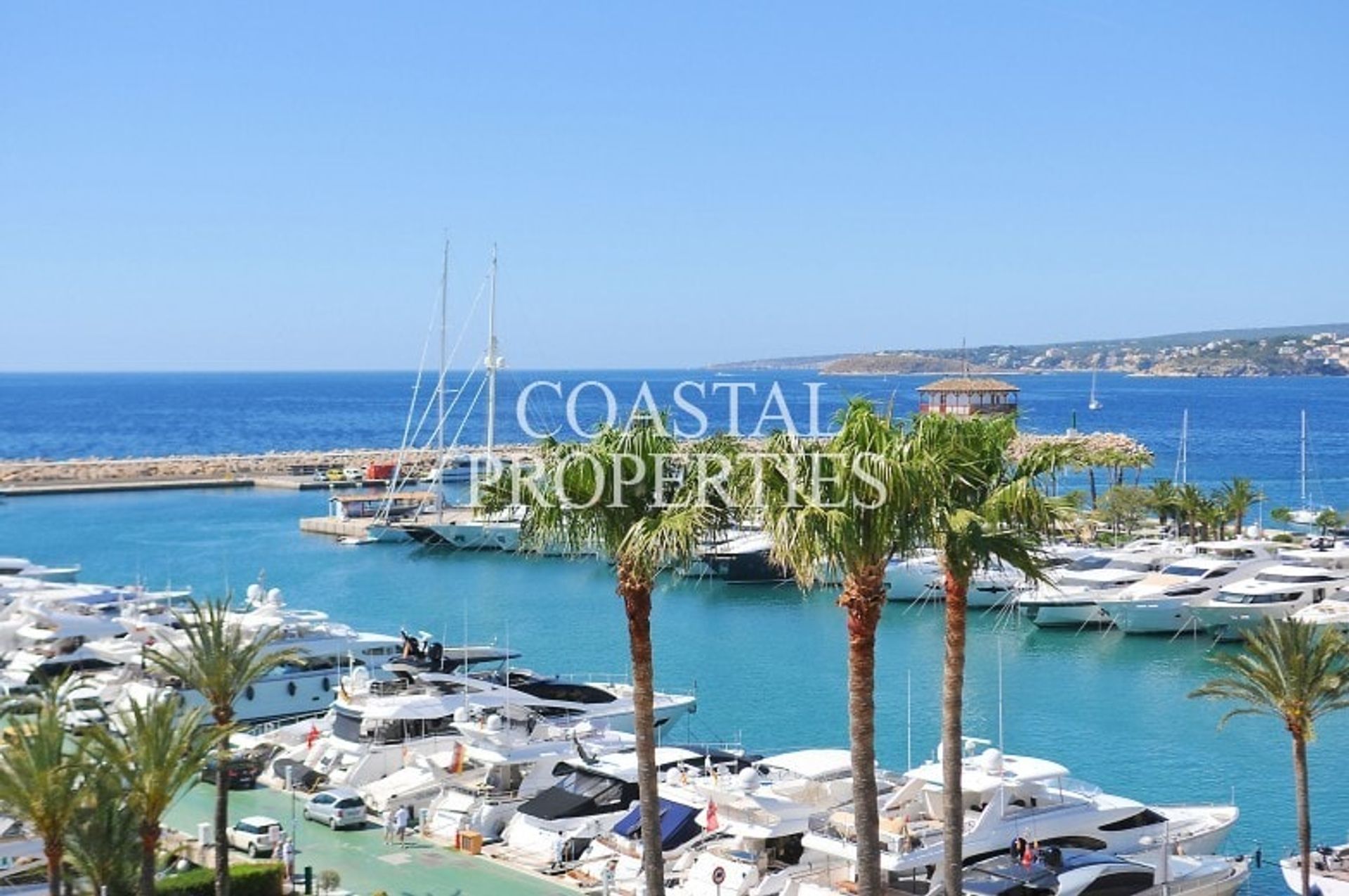 Condominium in Portals Nous, Illes Balears 11308626