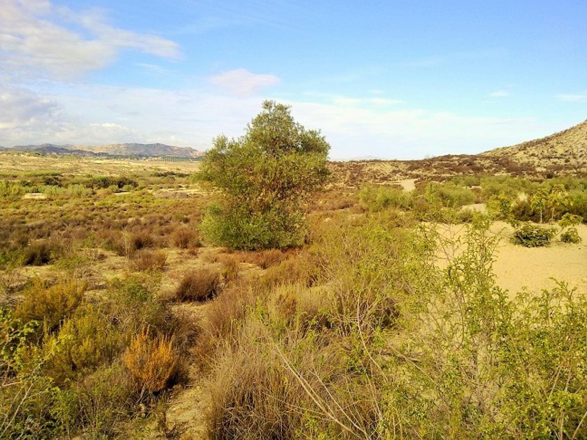 Terra no El Tocino, Valência 11308846