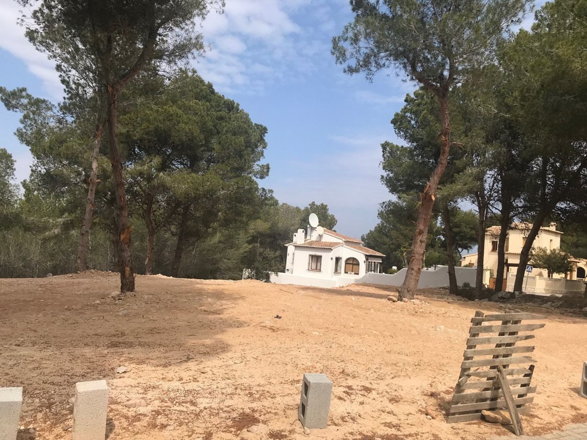 Terre dans Morayra, les îles Canaries 11309887