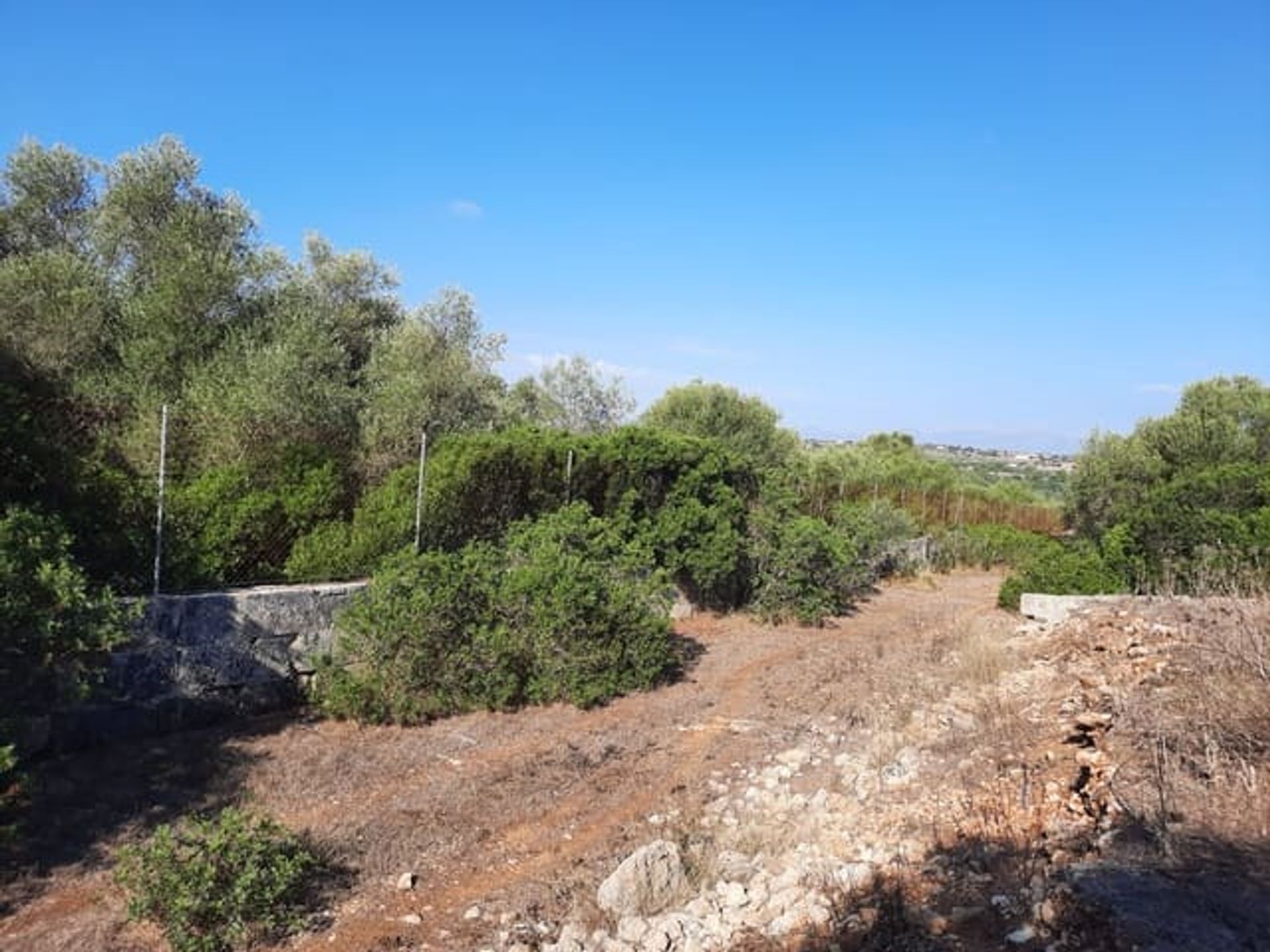 Terre dans Santa Margalida, Illes Balears 11309907