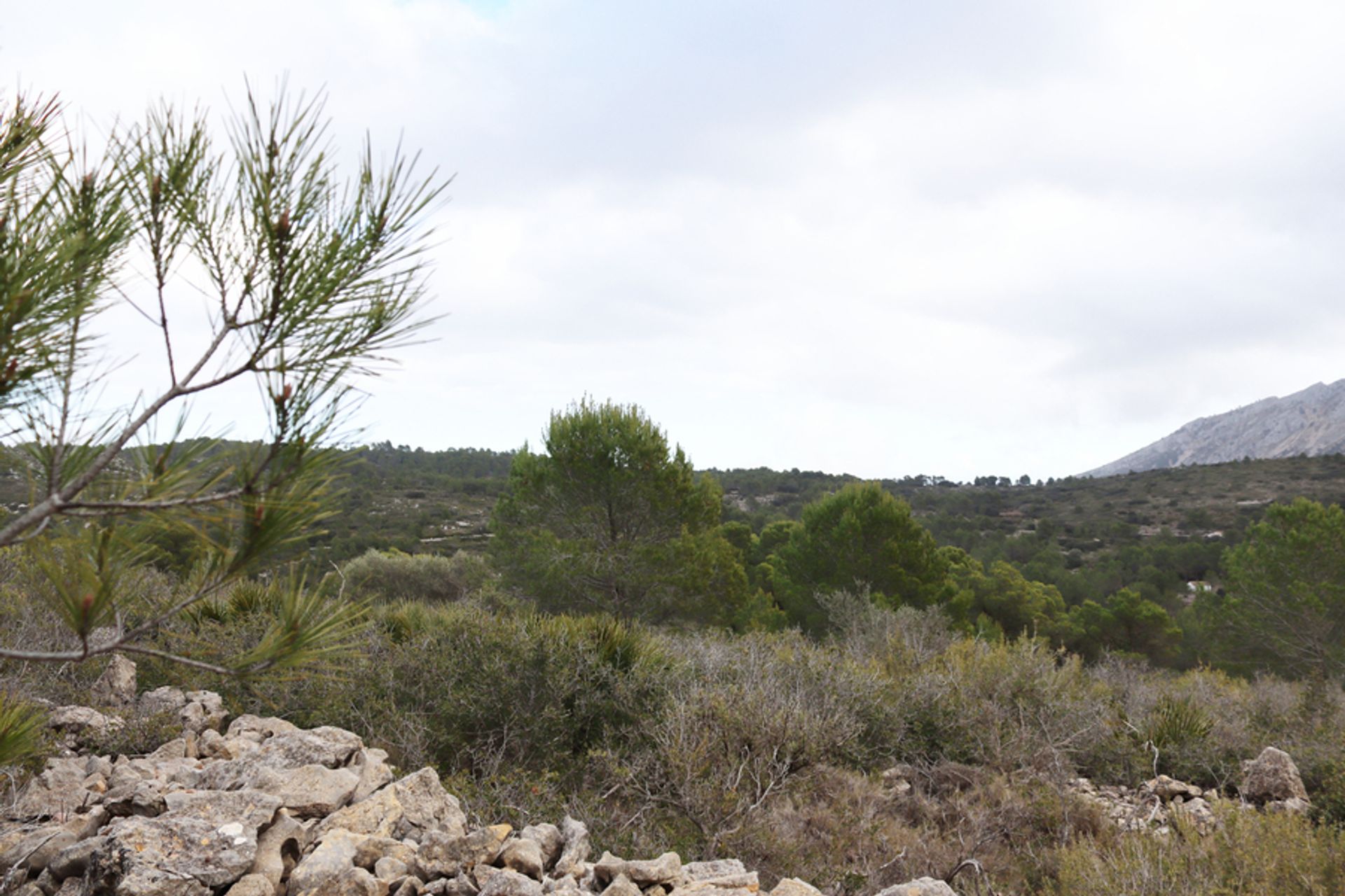 Land in Xaló, Comunidad Valenciana 11310379