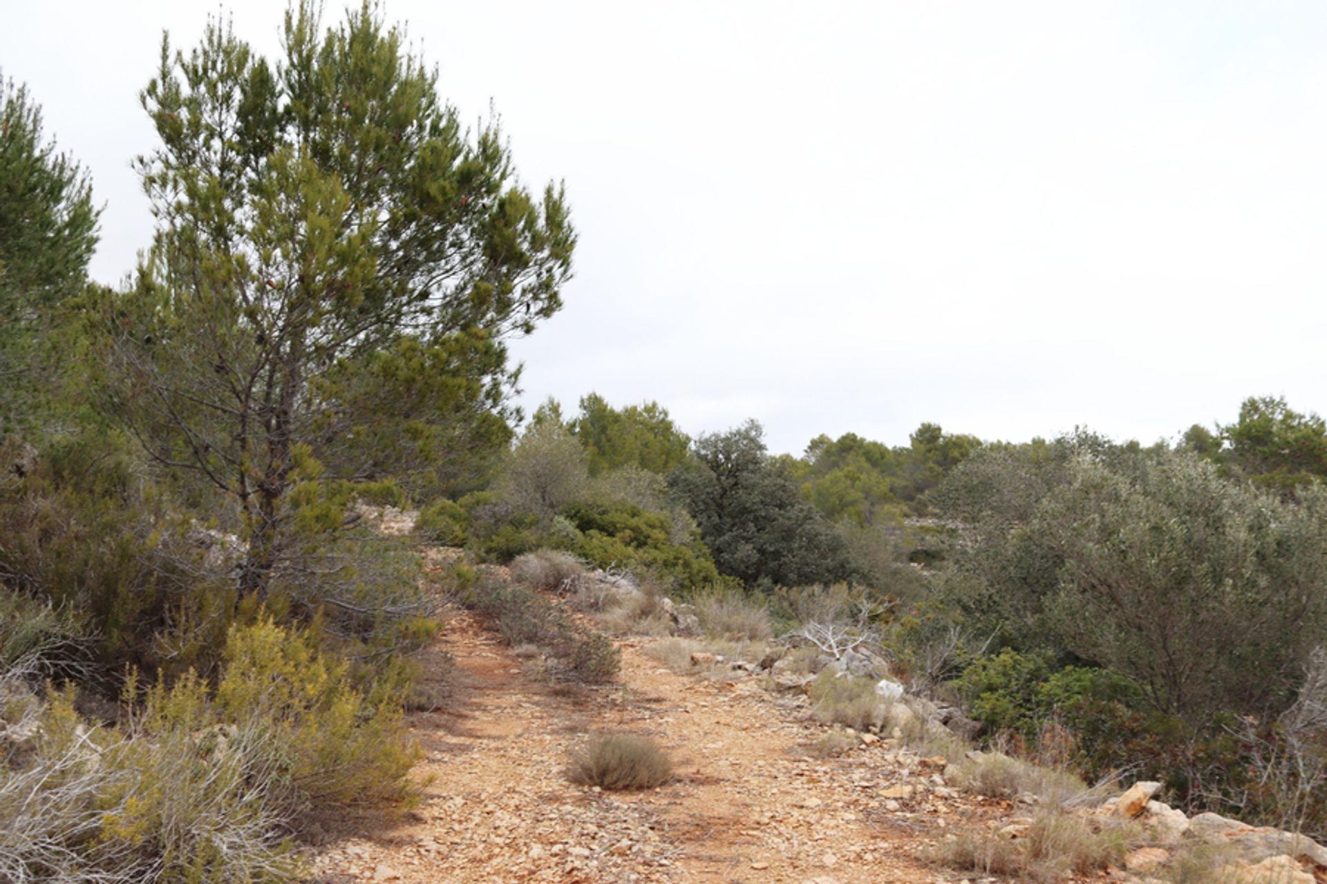 Land in Xaló, Comunidad Valenciana 11310379