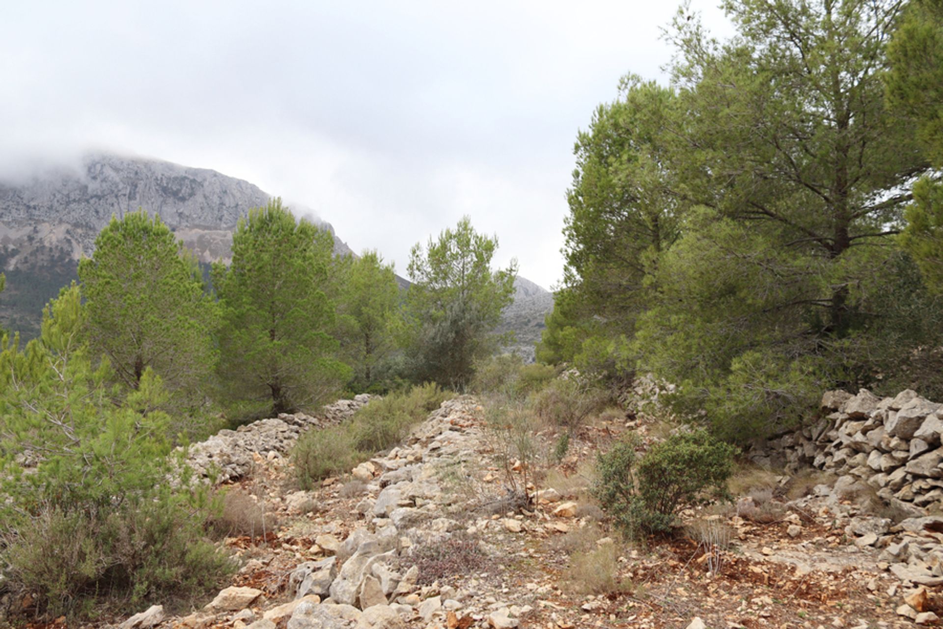 Land in Xaló, Comunidad Valenciana 11310379