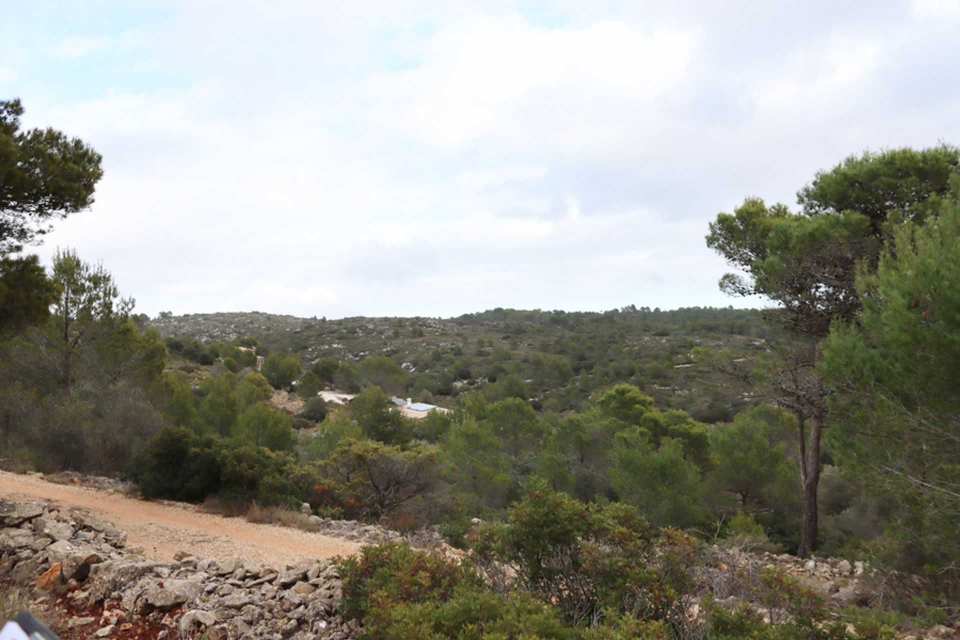 Land in Xaló, Comunidad Valenciana 11310379