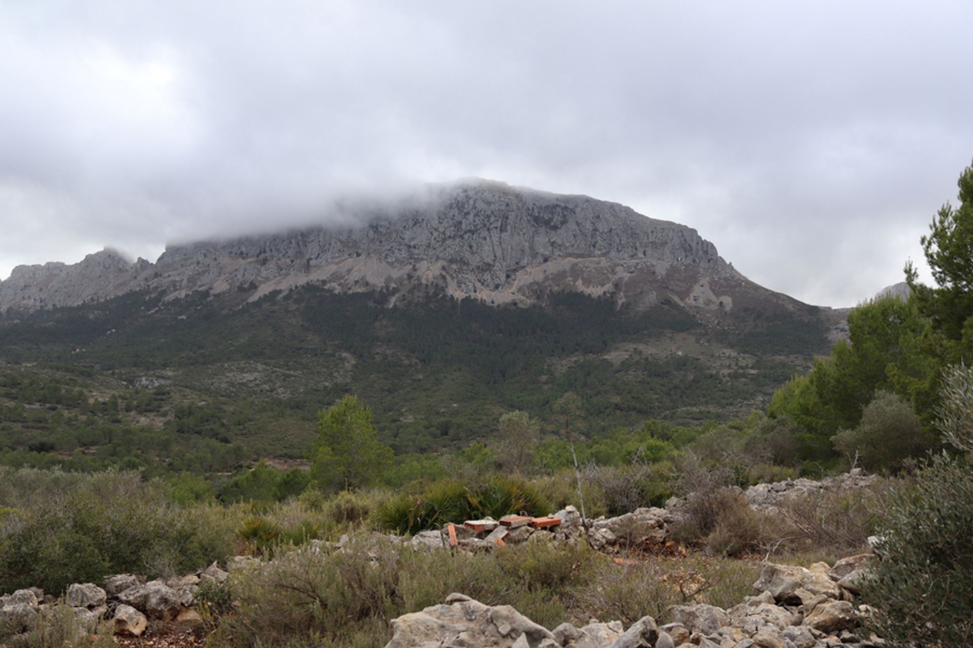 Land in Xaló, Comunidad Valenciana 11310379