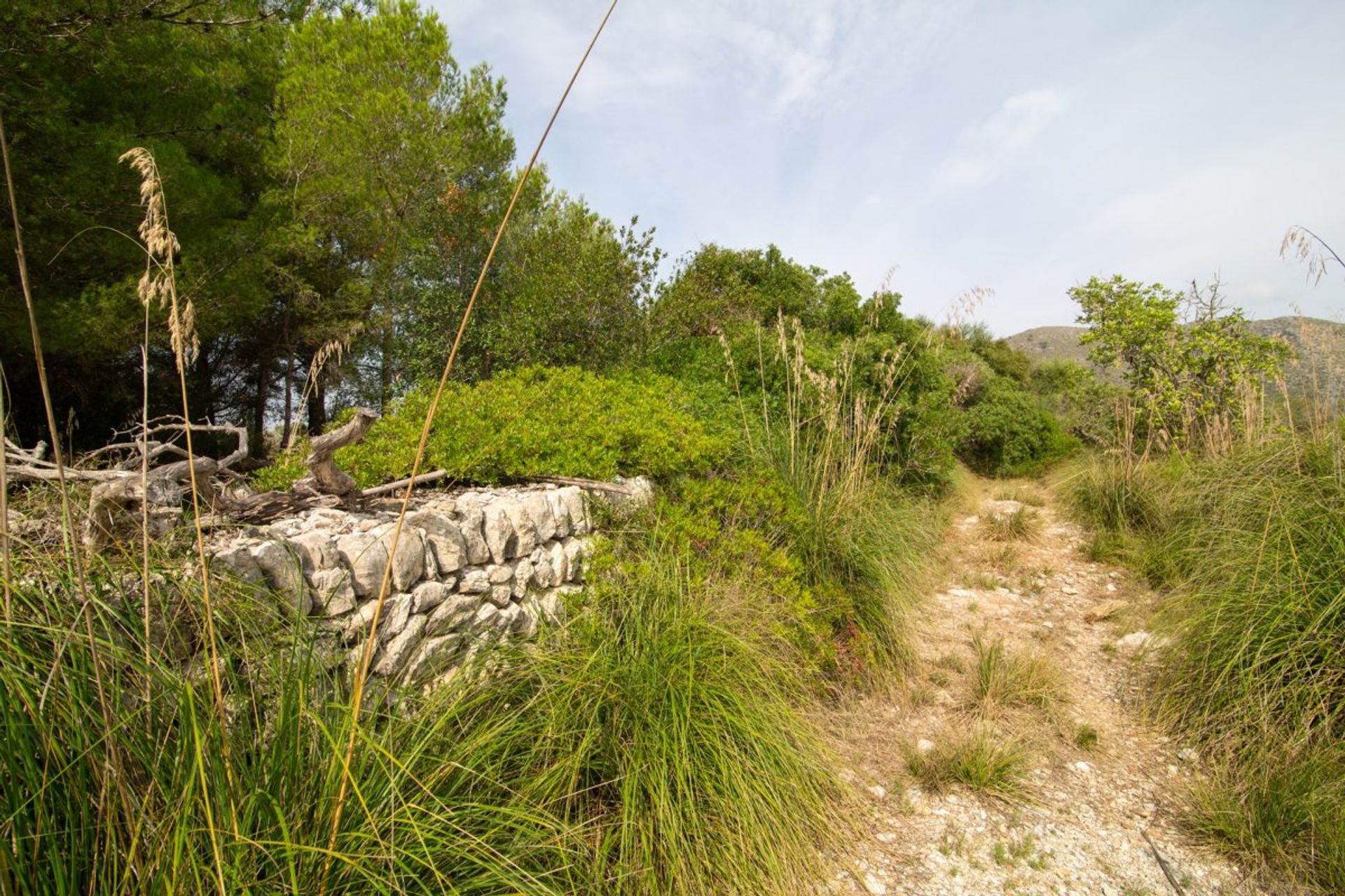 Talo sisään Capdepera, Illes Balears 11310618