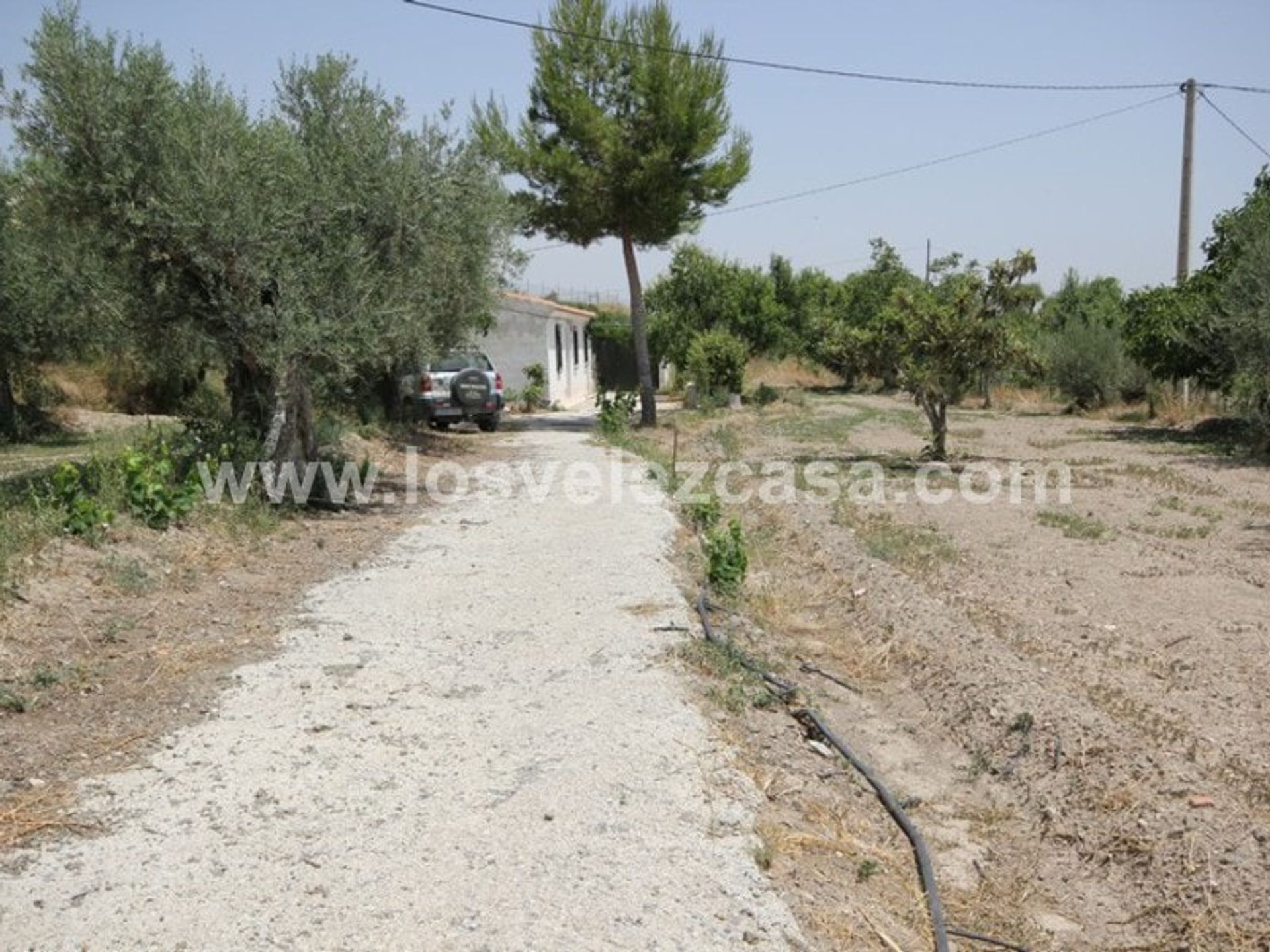 casa en Vélez Rubio, Andalucía 11310665