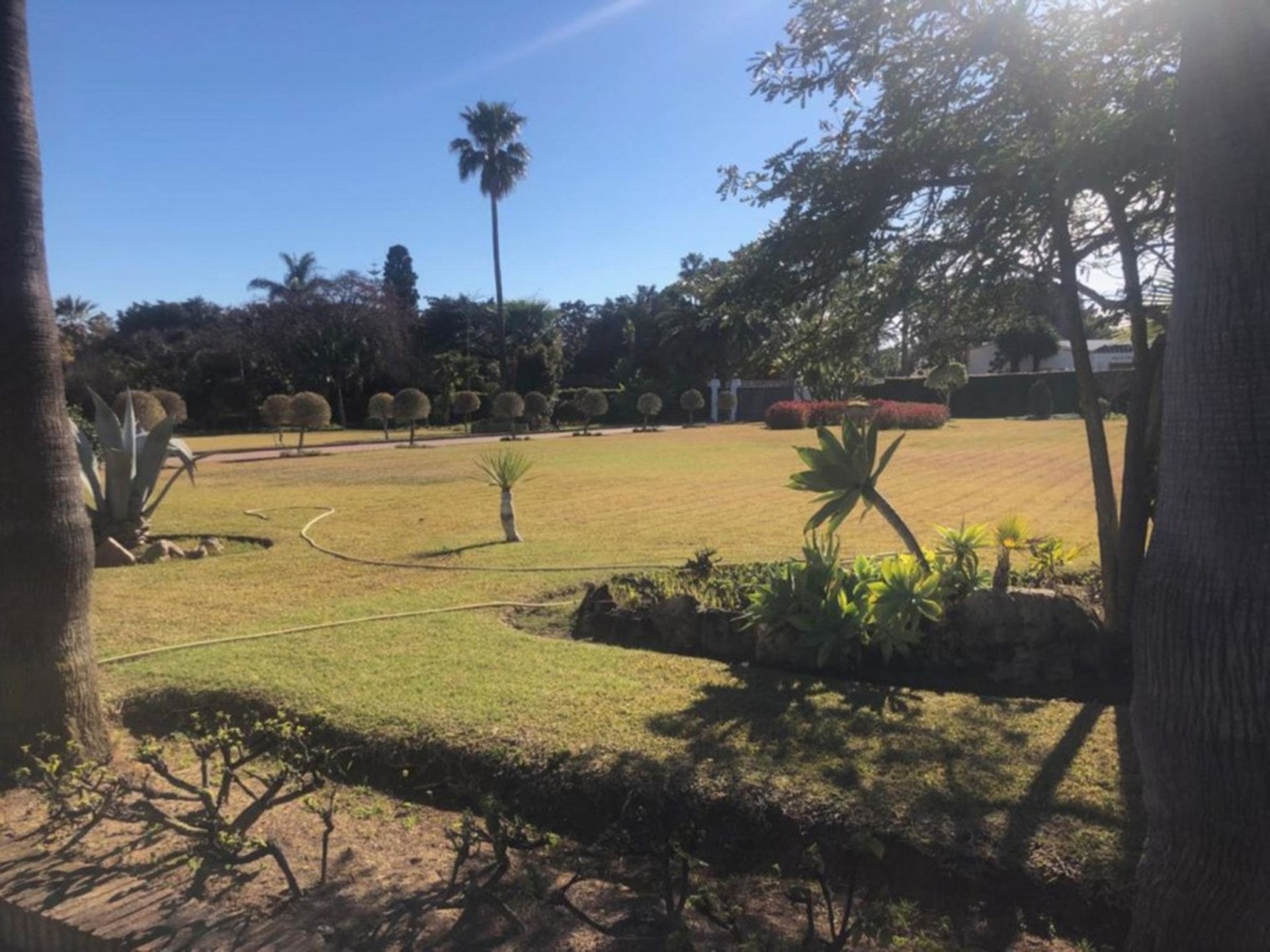 Tanah di San Pedro de Alcantara, Andalusia 11310743