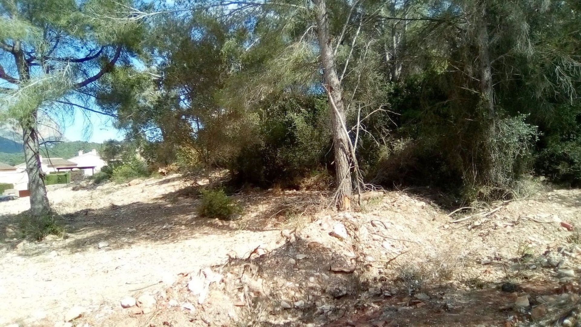 Land in Denia, Valencia 11310778