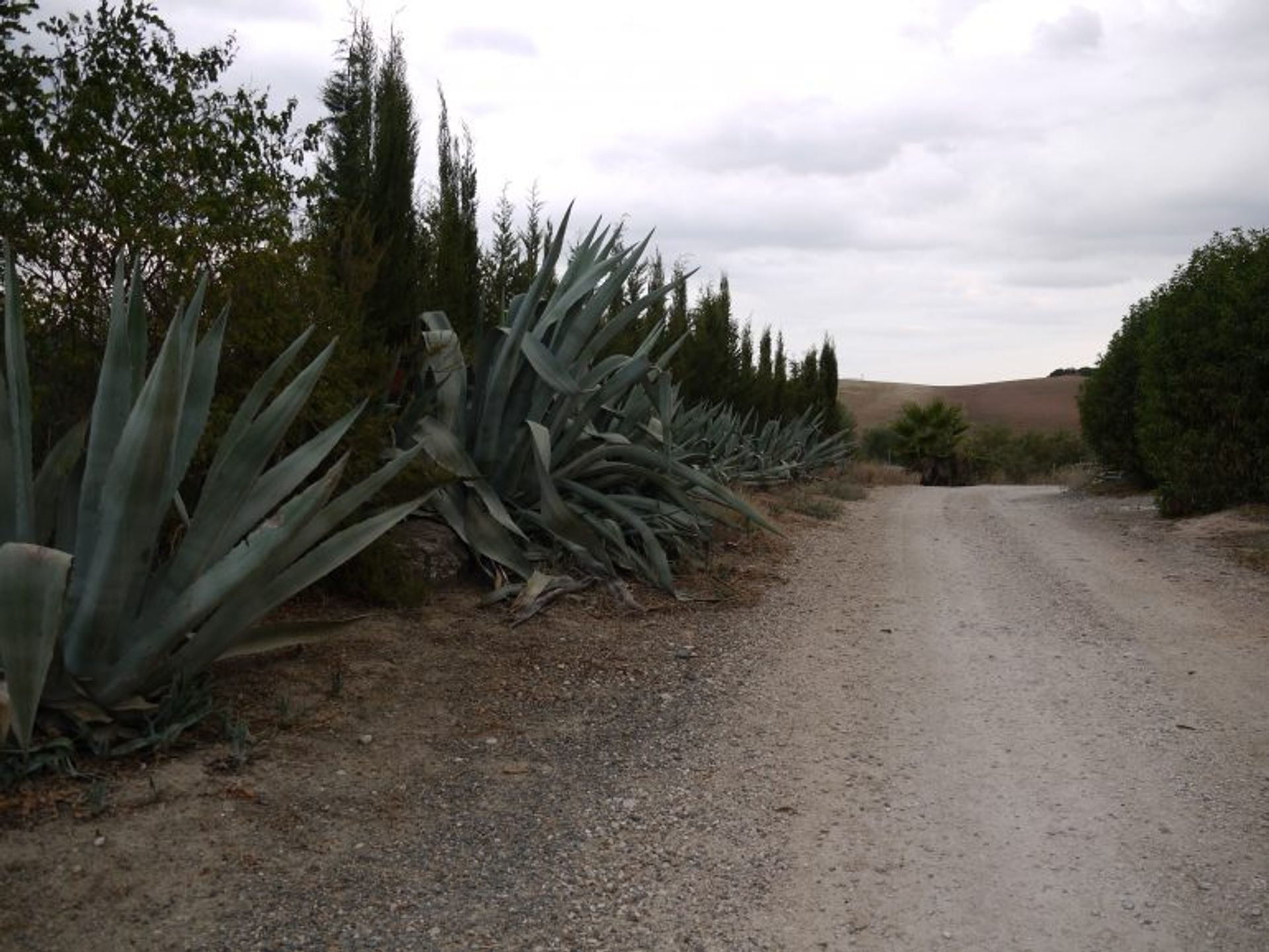 σπίτι σε Morón de la Frontera, Andalucía 11310927