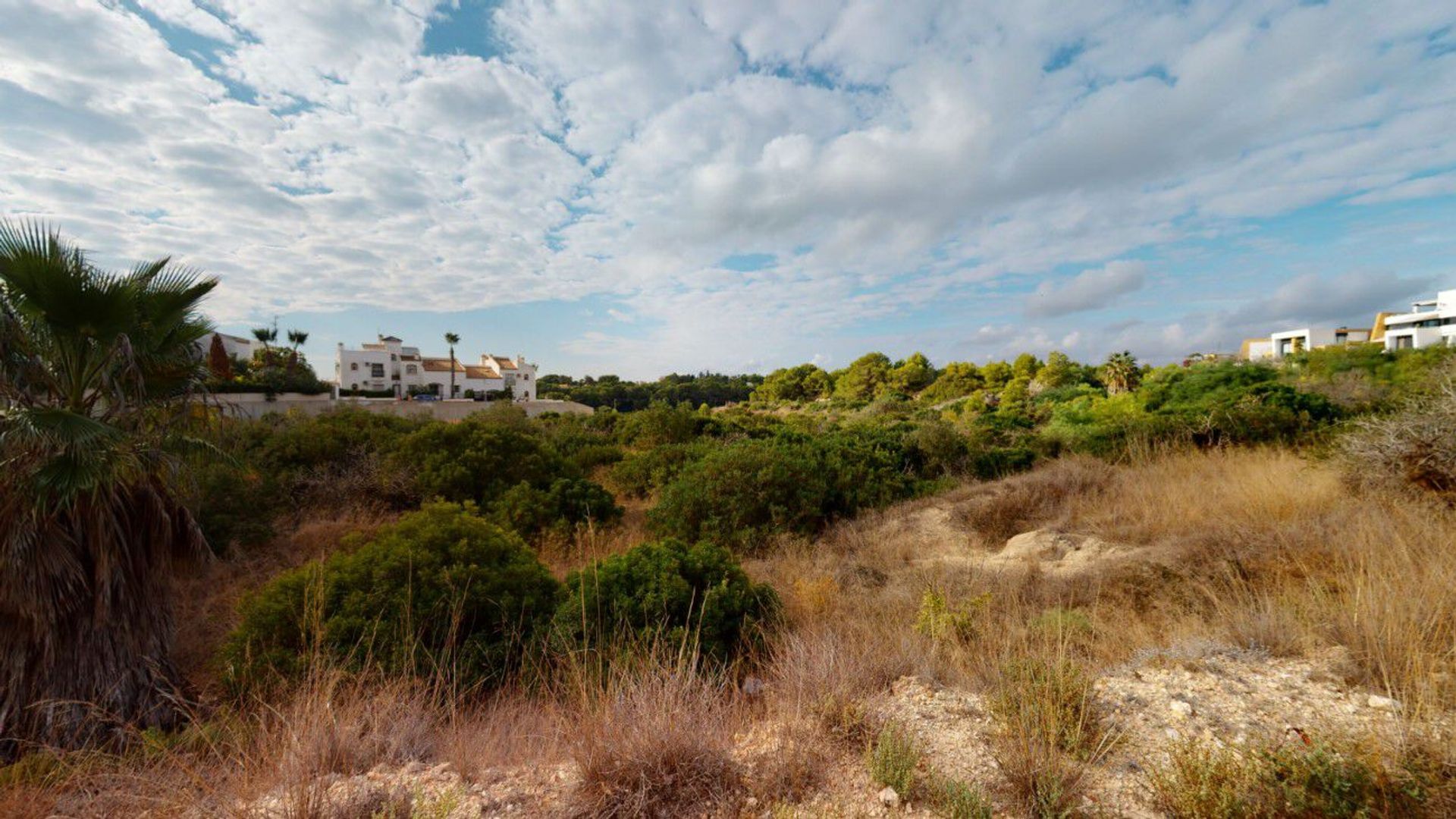 Land im Campoamor, Valencia 11311214