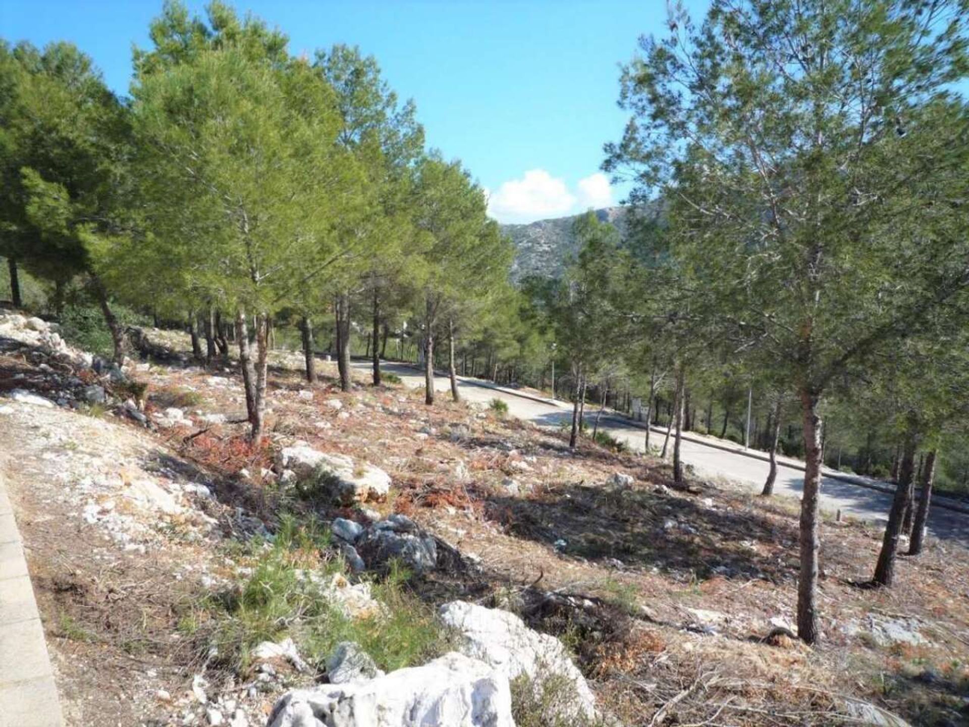 Land in Pedreguer, Comunidad Valenciana 11311521