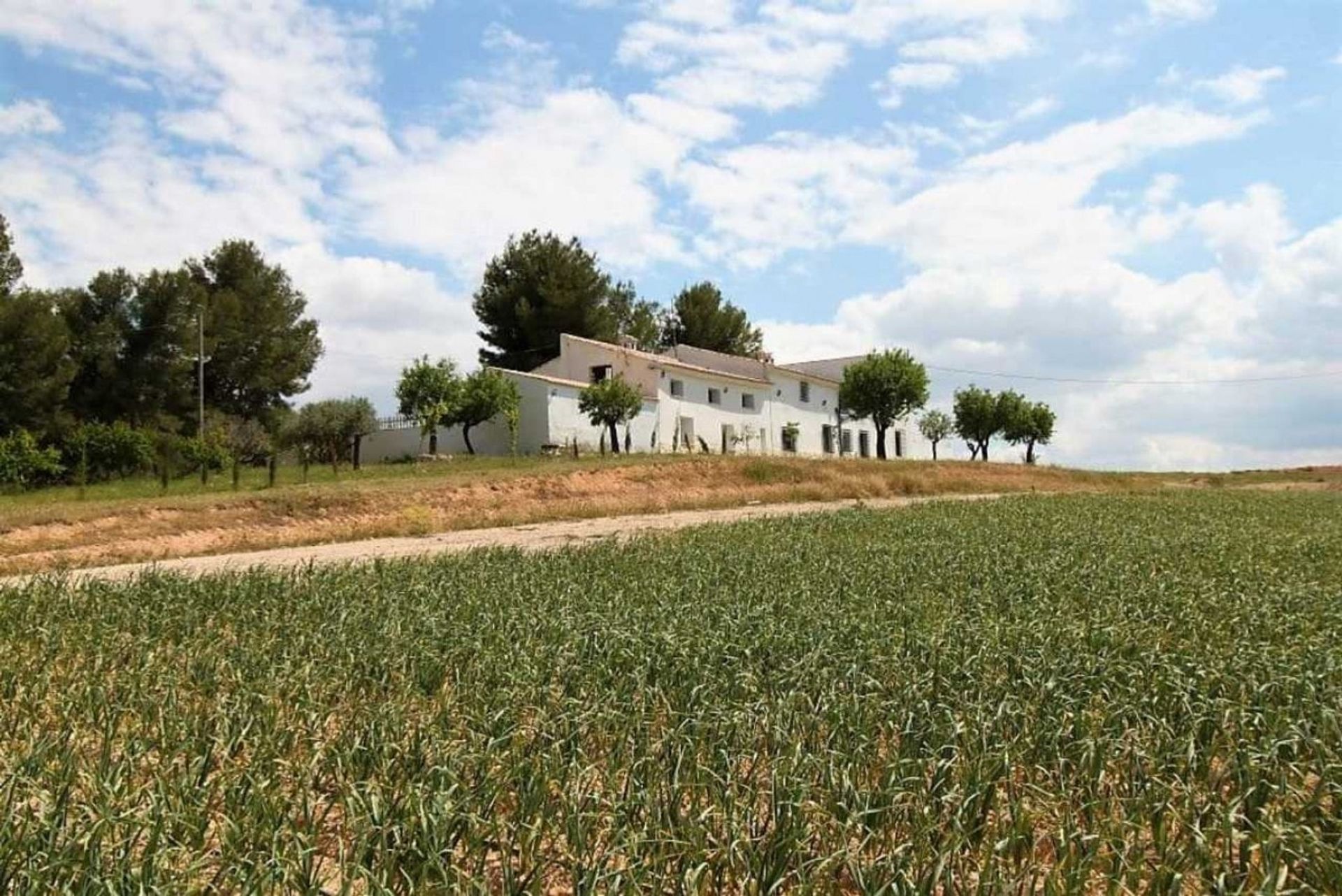 Talo sisään Caravaca de la Cruz, Región de Murcia 11312368