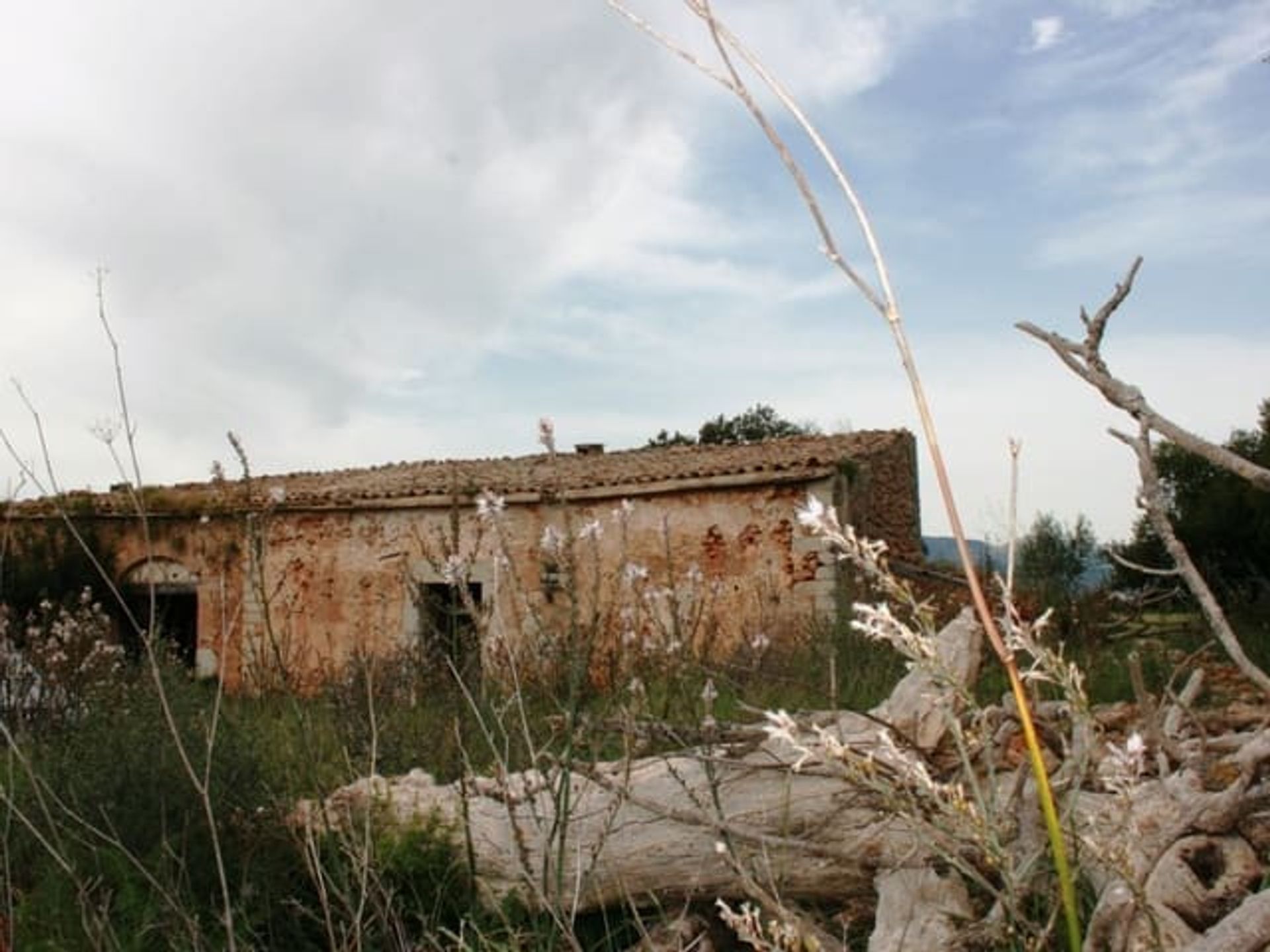 Industriale nel Sencelles, Illes Balears 11312419