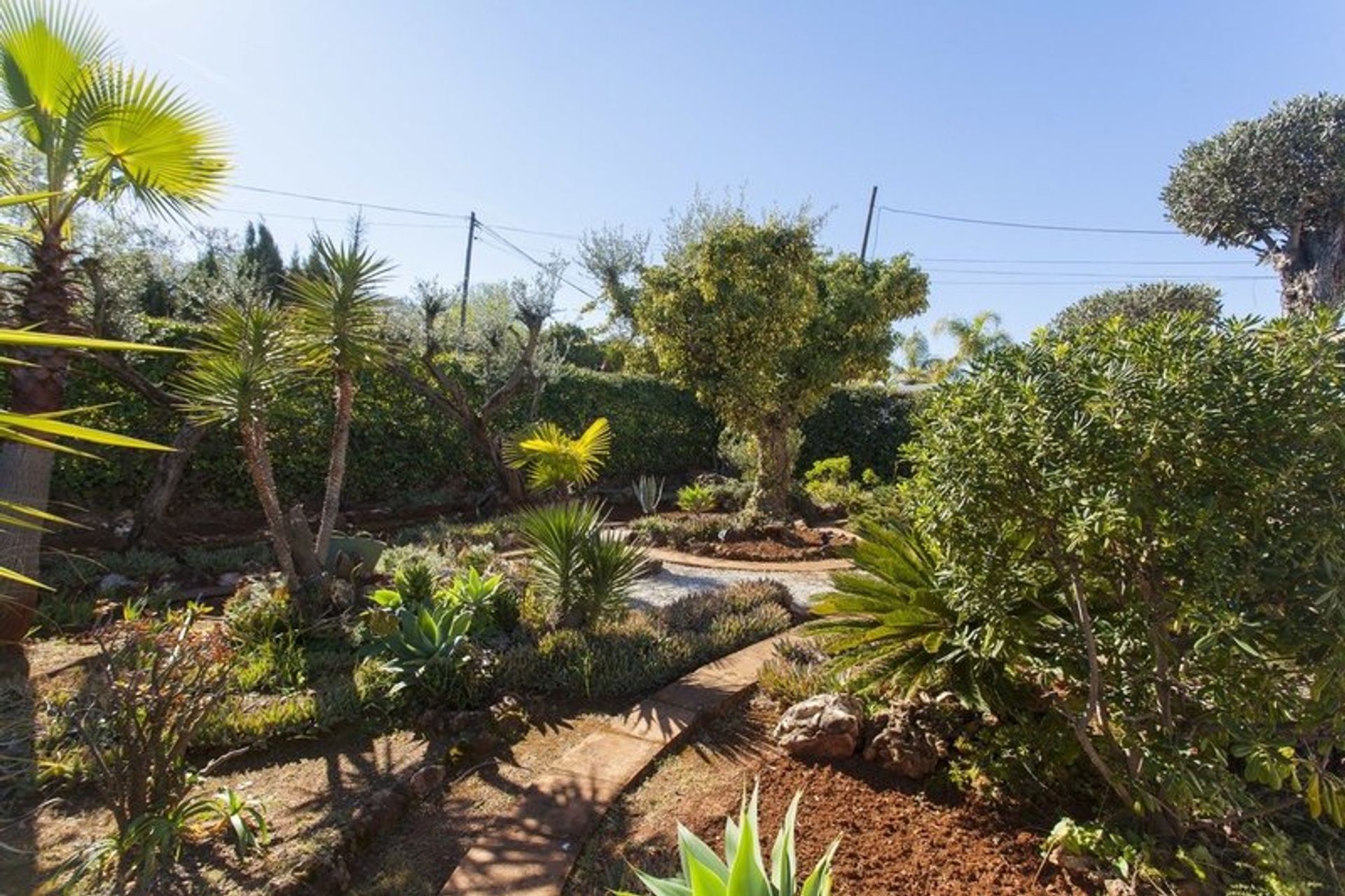 Rumah di Alhaurín el Grande, Andalucía 11312836