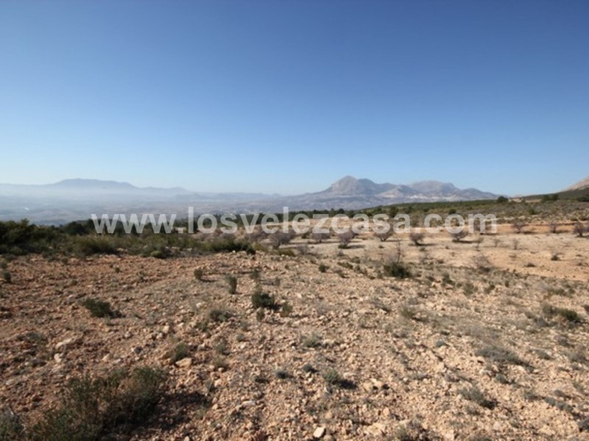 Tierra en Vélez-Blanco, Andalucía 11314791