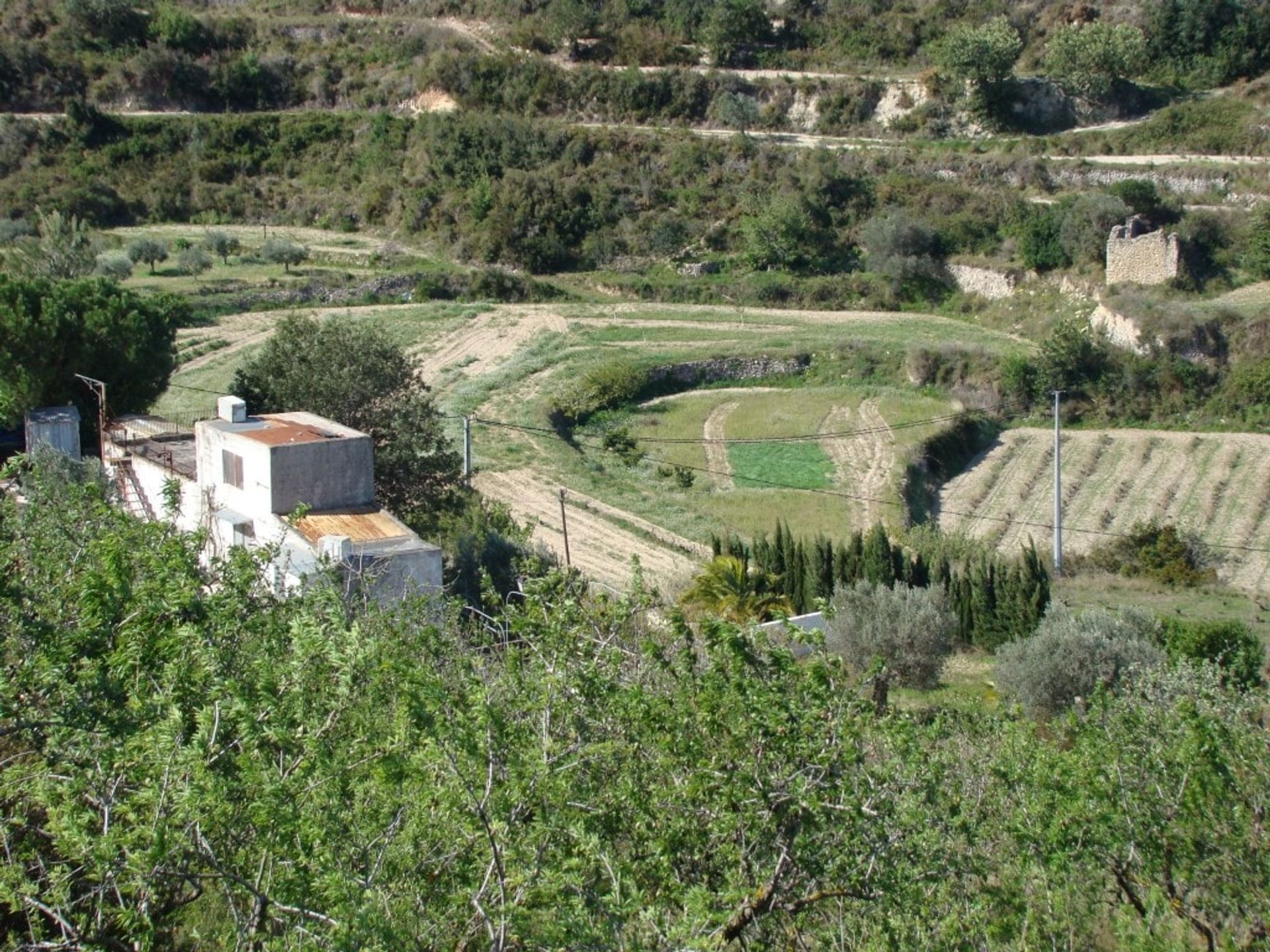 Terra no , Comunidad Valenciana 11316160