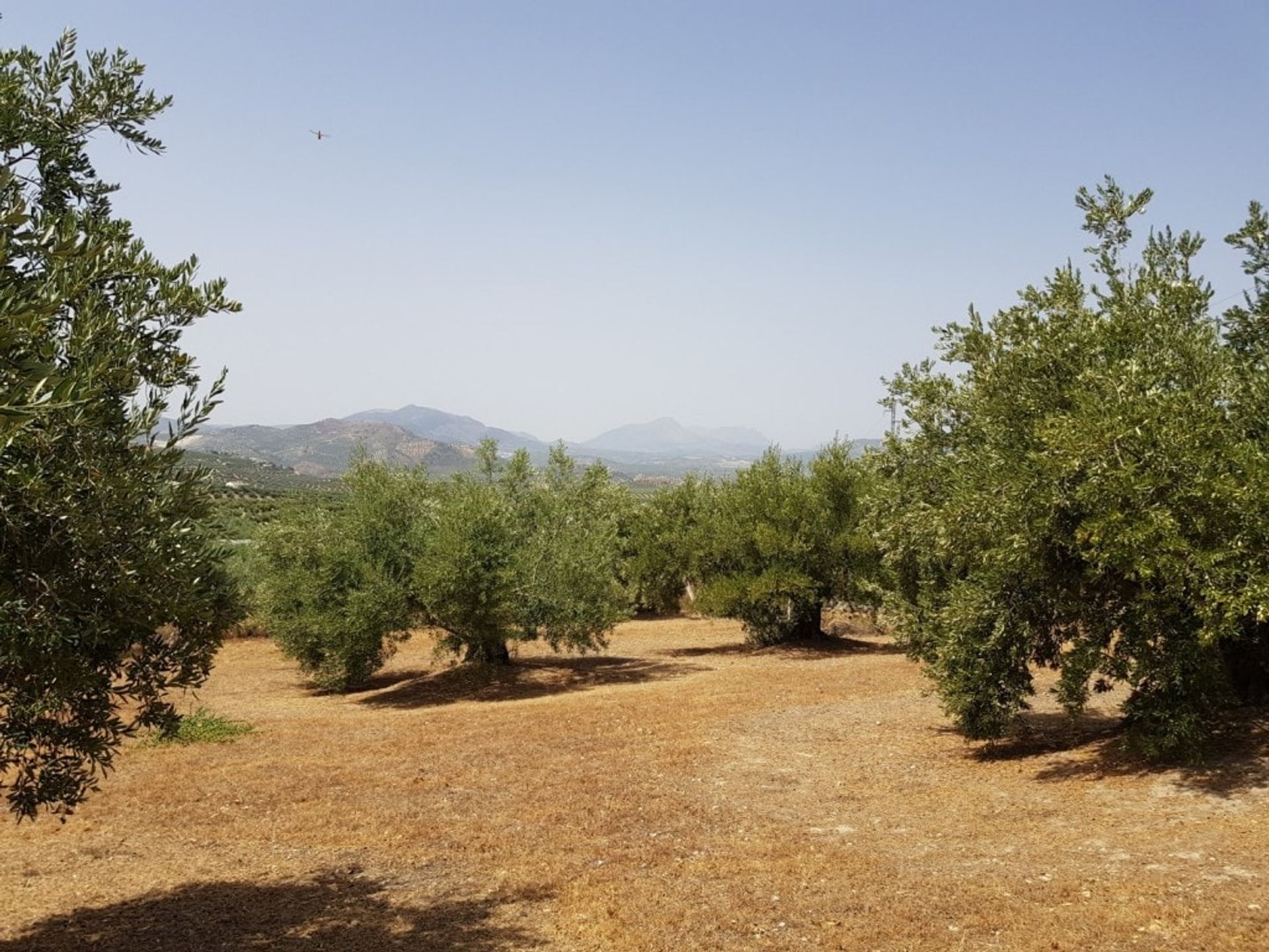 Rumah di Alcalá la Real, Andalucía 11316625