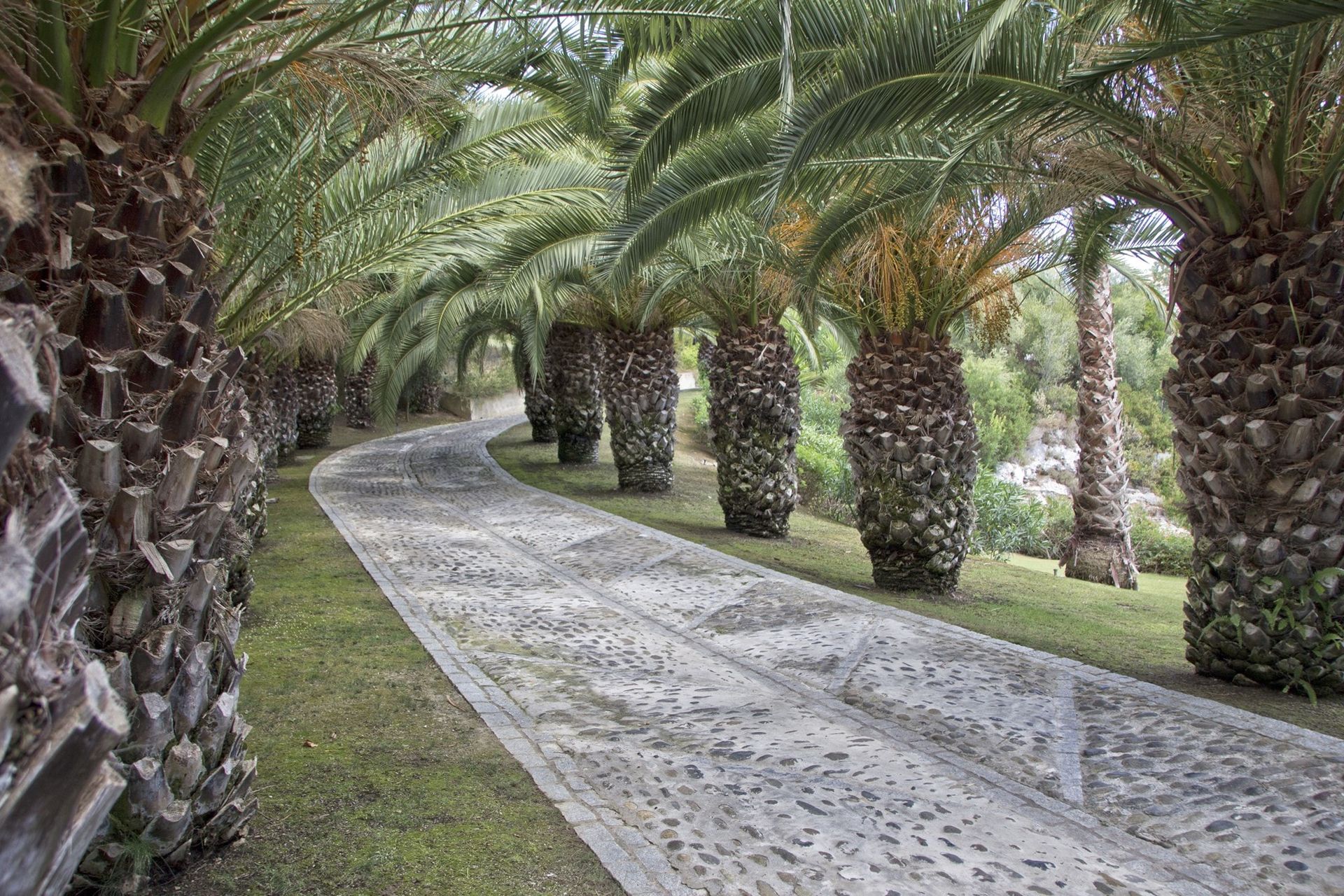 Hus i San Roque, Andalucía 11316735