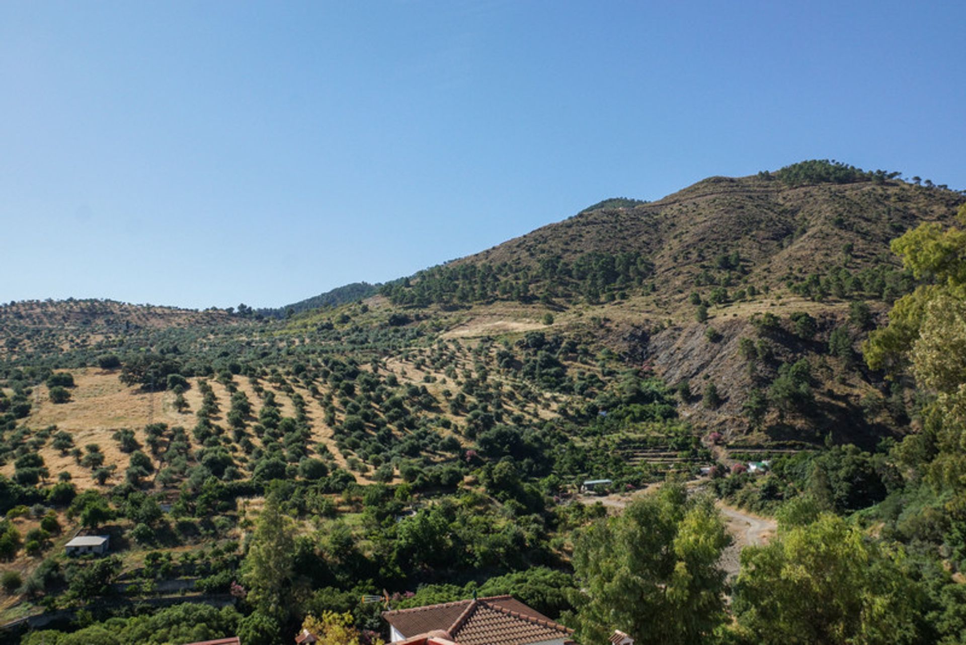 Industrial in Tolox, Andalucía 11317132