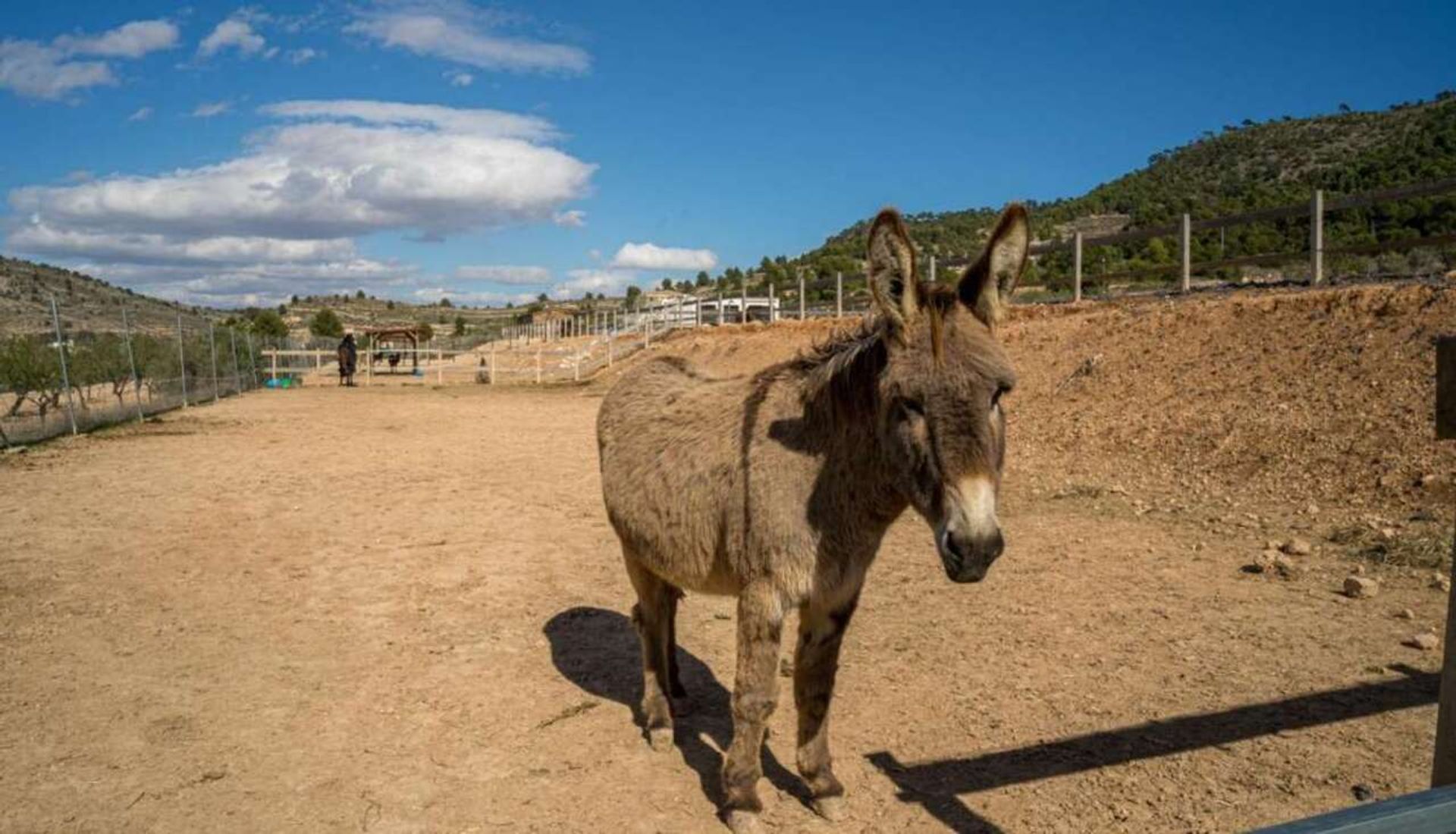 بيت في Pinoso, Comunidad Valenciana 11317741