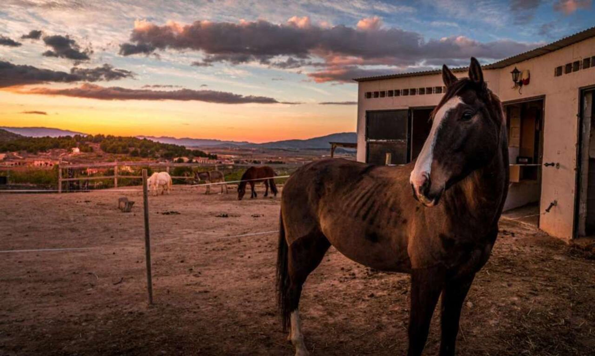 casa no Pinoso, Comunidad Valenciana 11317741