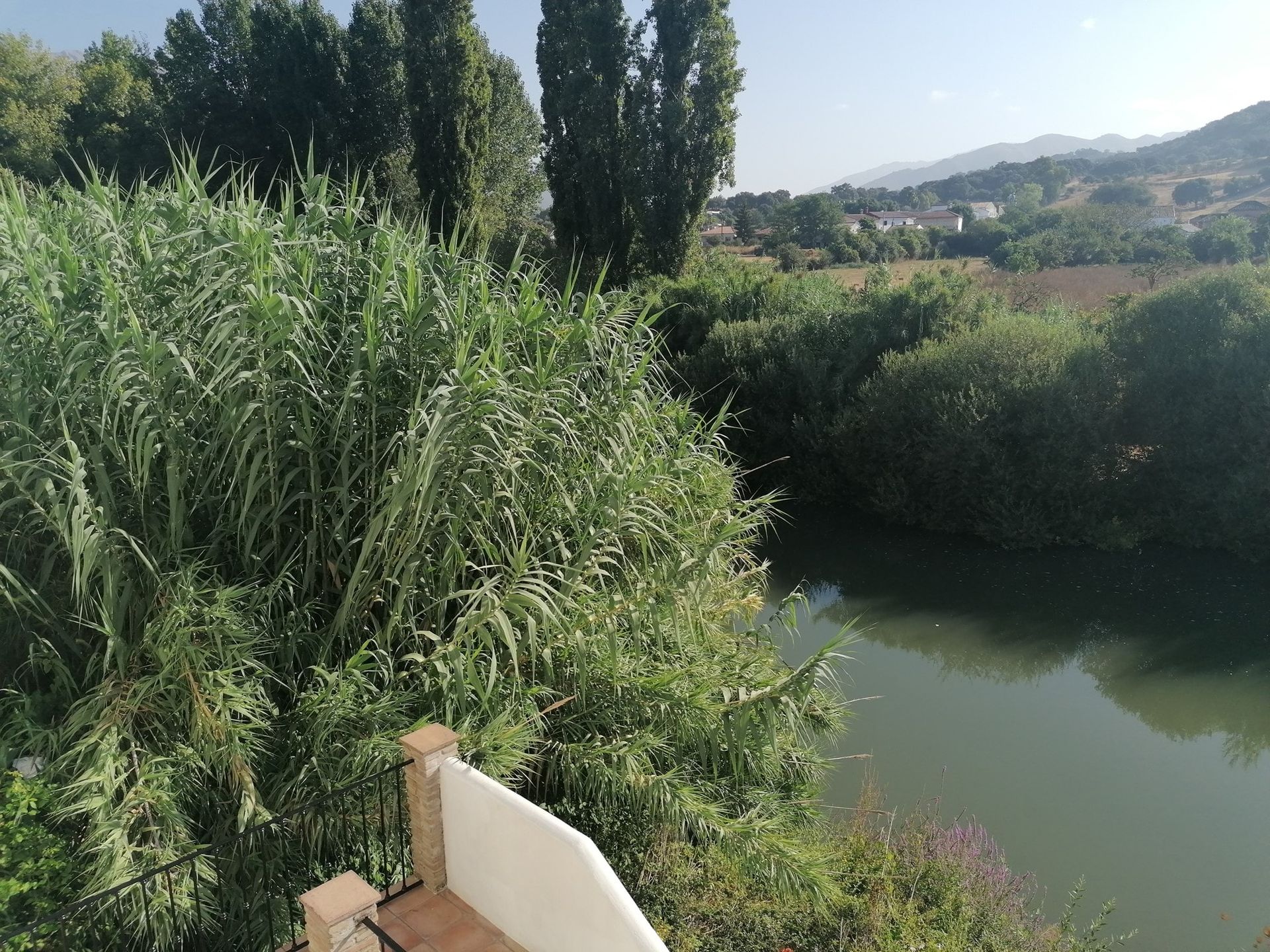 Huis in Cortes de la Frontera, Andalucía 11317860