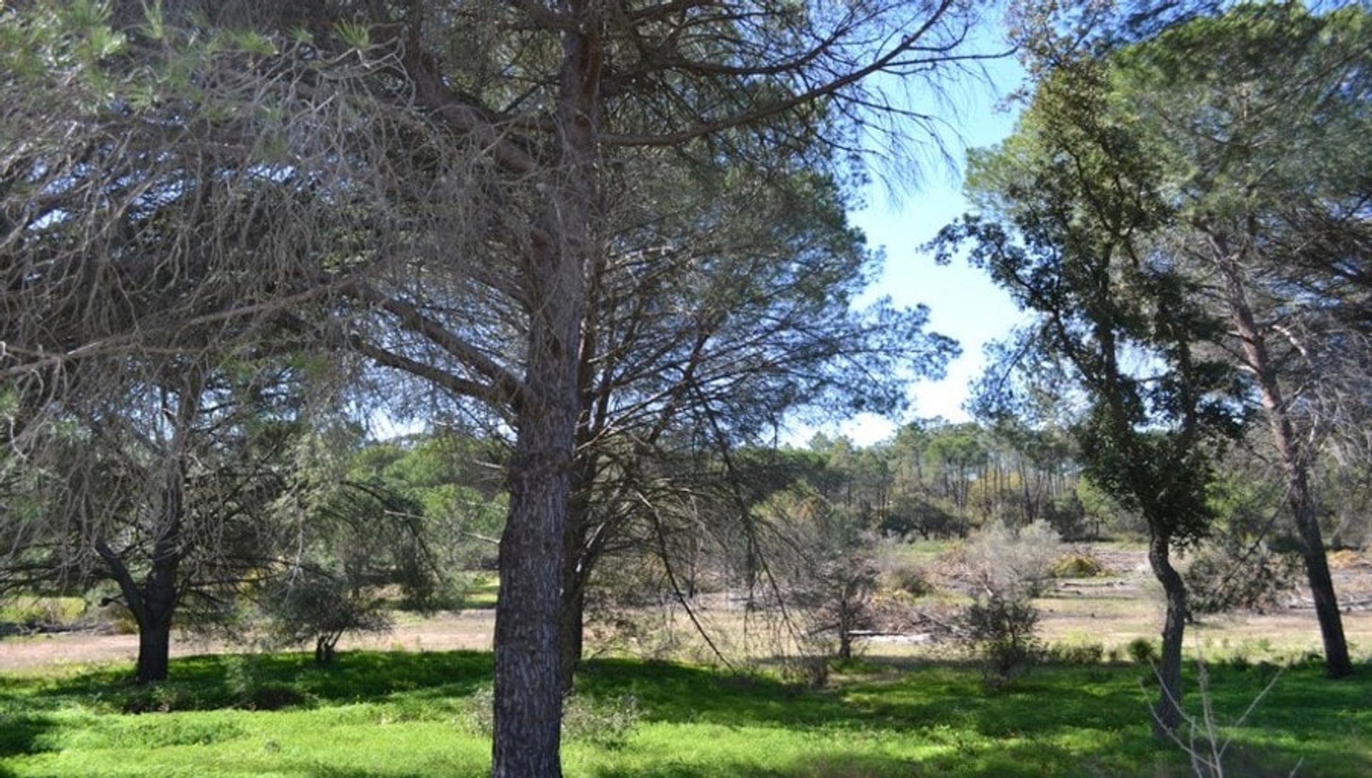 Talo sisään Villablanca, Andalucía 11317863