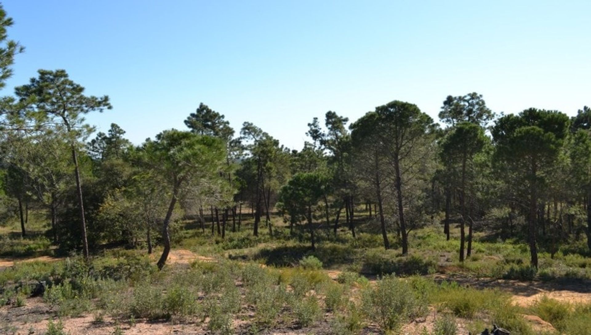 집 에 Villablanca, Andalucía 11317863