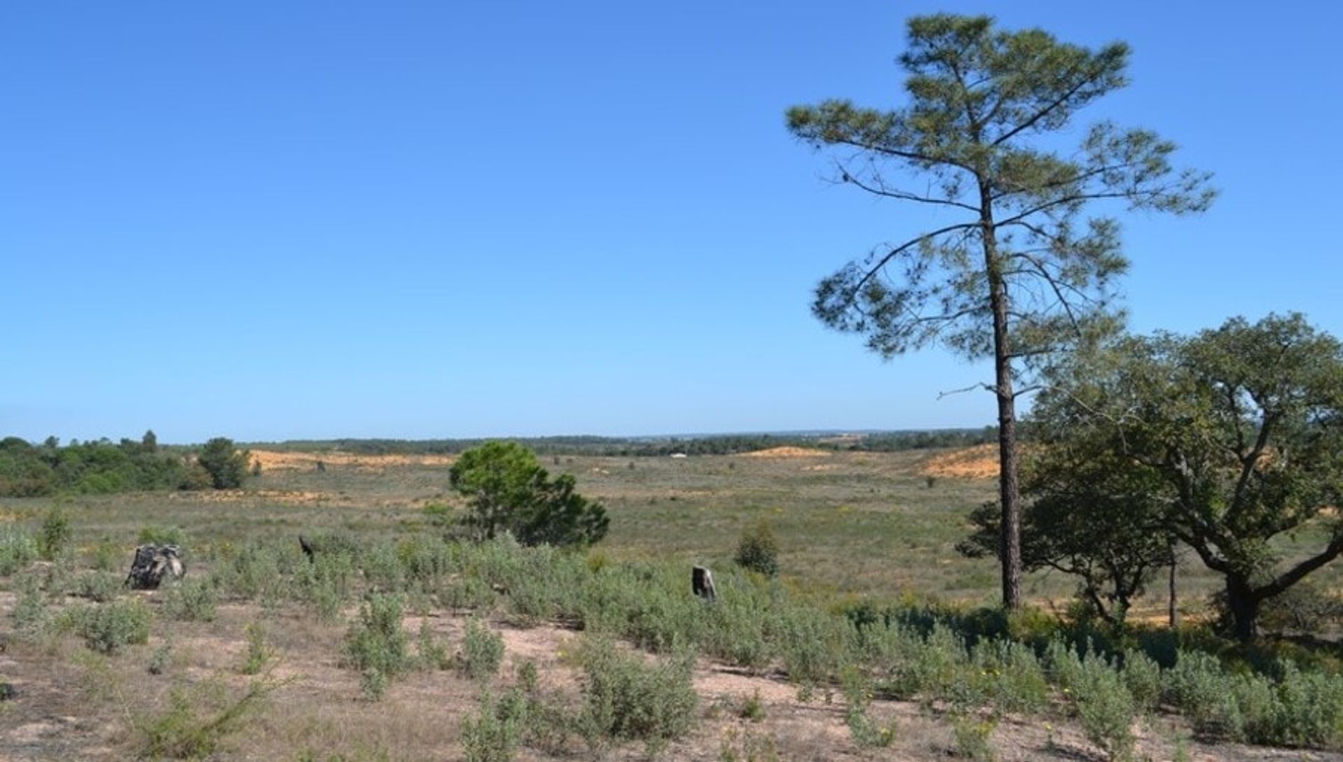 Talo sisään Villablanca, Andalucía 11317863