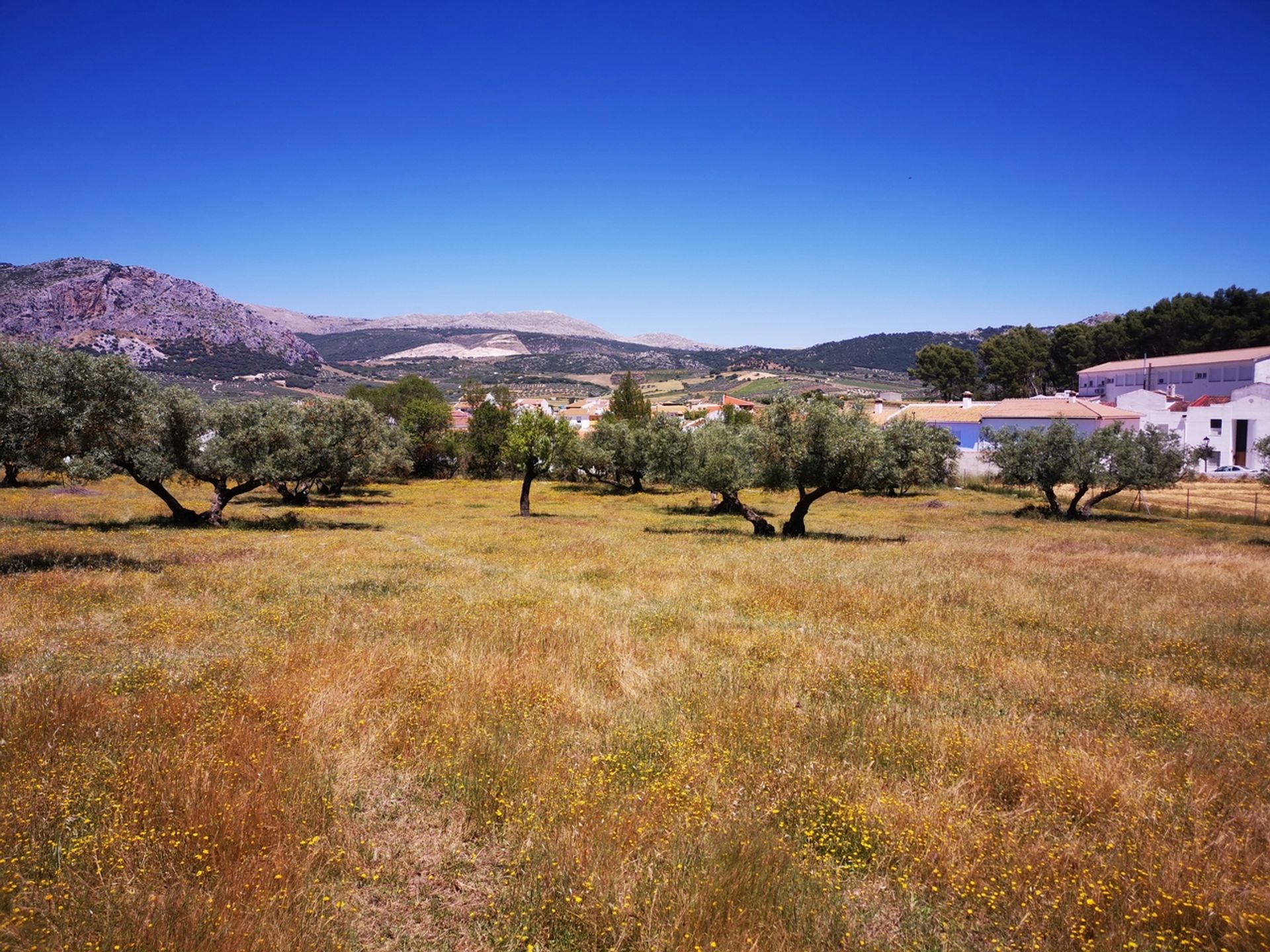 Tierra en Periana, Andalucía 11318170