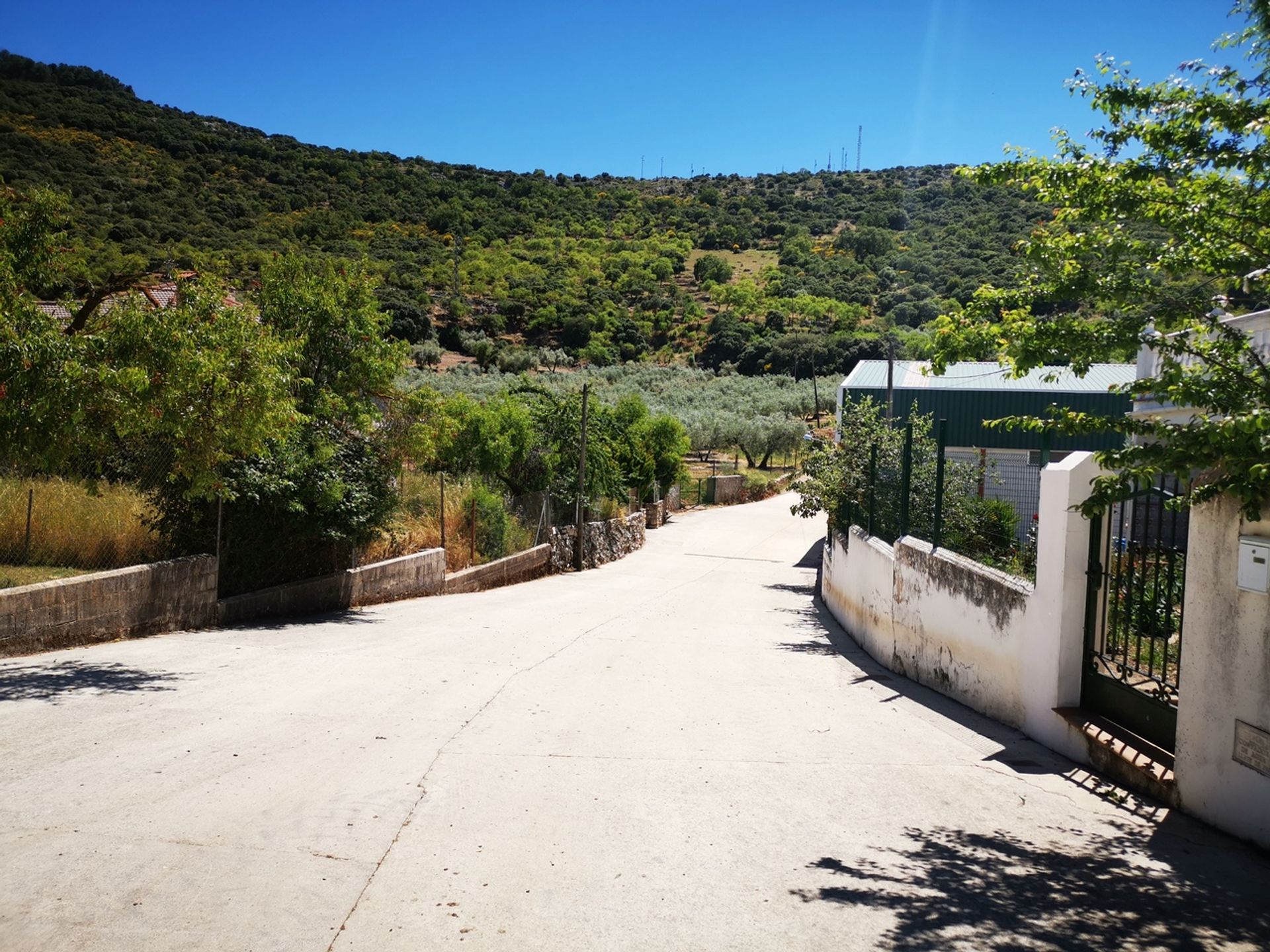 Land in Periana, Andalucía 11318170