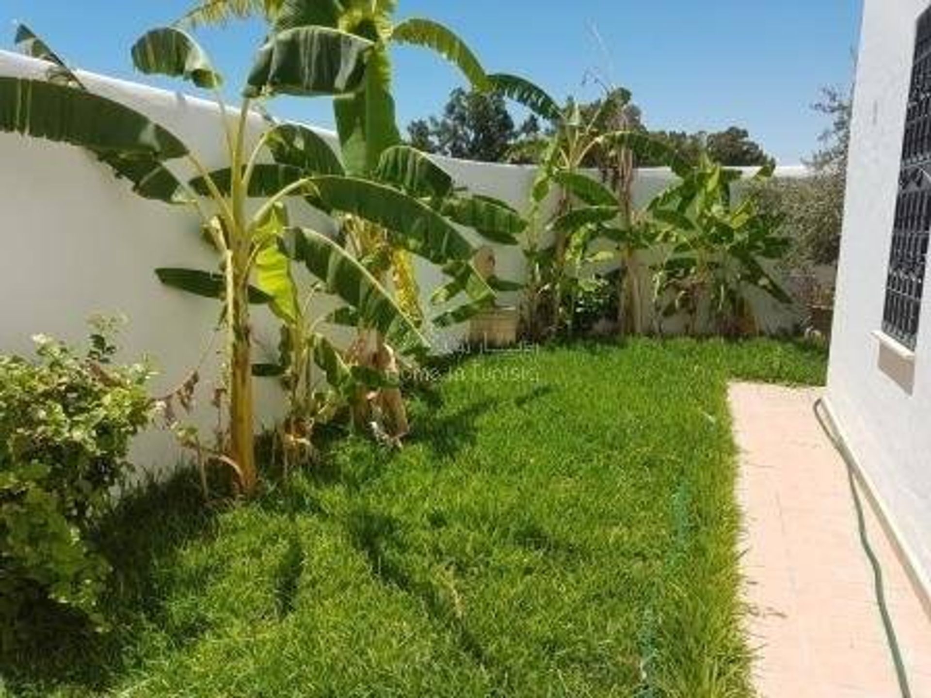 House in Hammamet, Nabeul 11318254